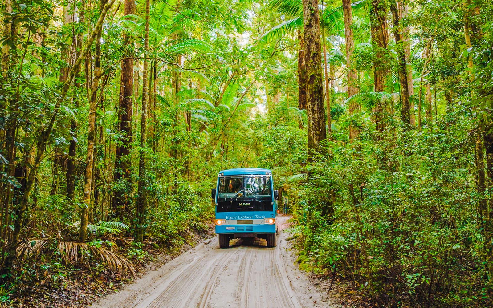From Hervey Bay: K'gari (Fraser Island) 2-Day Guided Coach Tour