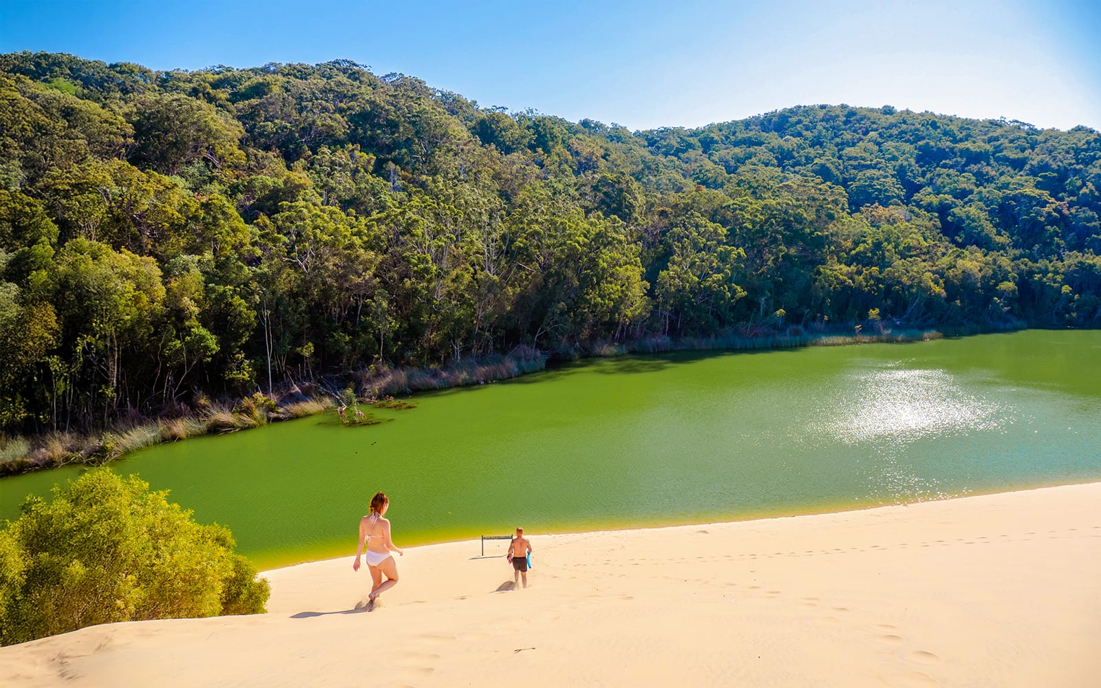 From Hervey Bay: K'gari (Fraser Island) 2-Day Guided Coach Tour tickets in Brisbane - Activities | TickYourList