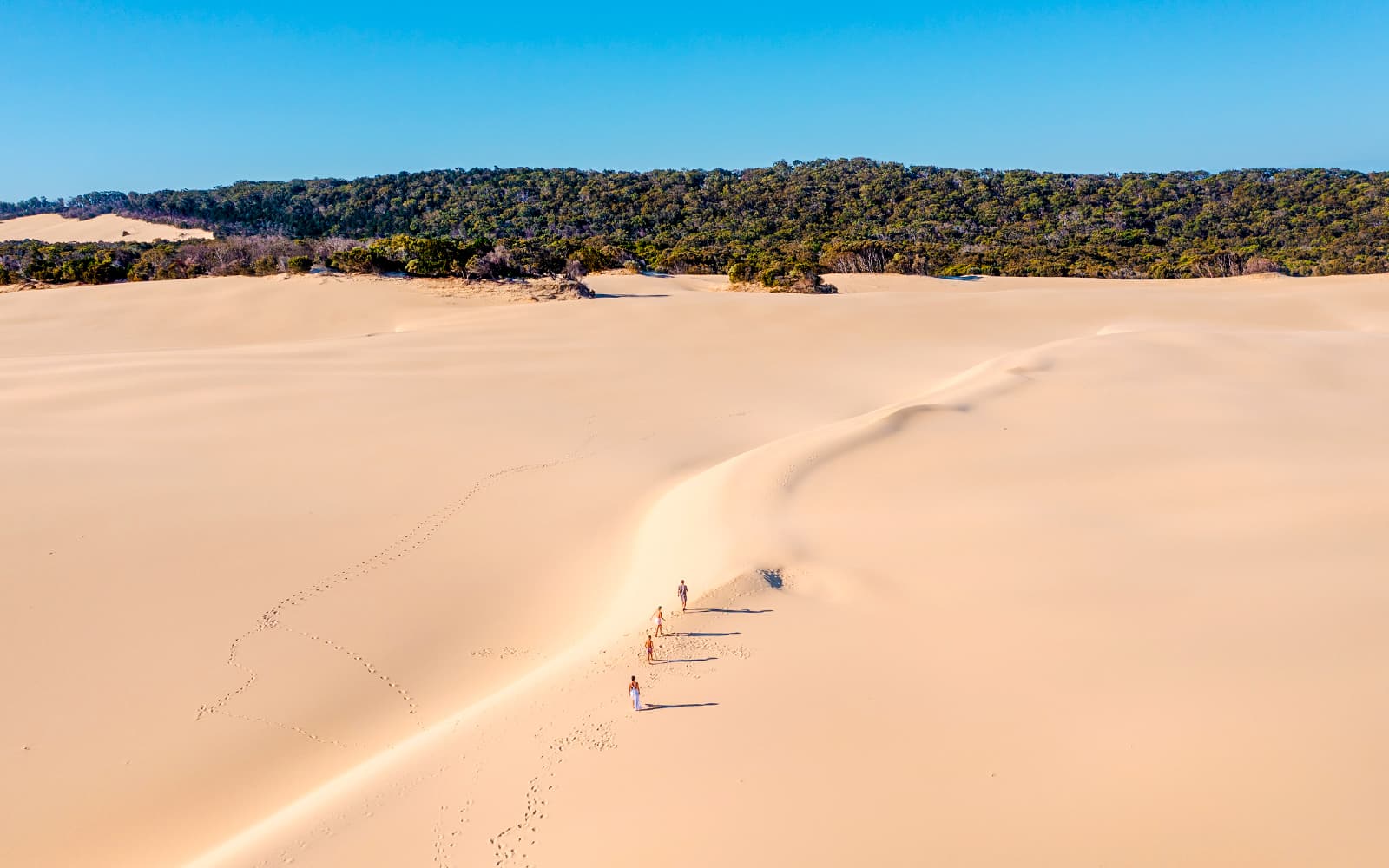 From Hervey Bay: K'gari (Fraser Island) 2-Day Guided Coach Tour tickets in Brisbane - Highlights | TickYourList