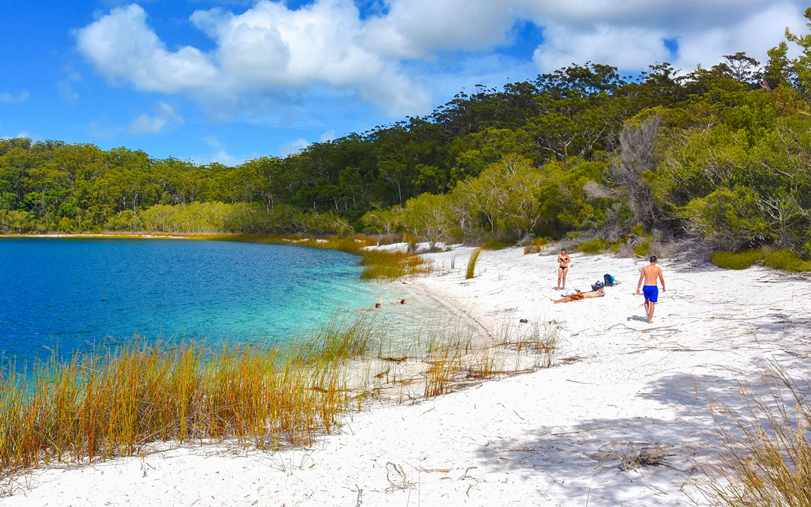 From Hervey Bay: K'gari (Fraser Island) 2-Day Guided Coach Tour tickets in Brisbane - Features | TickYourList