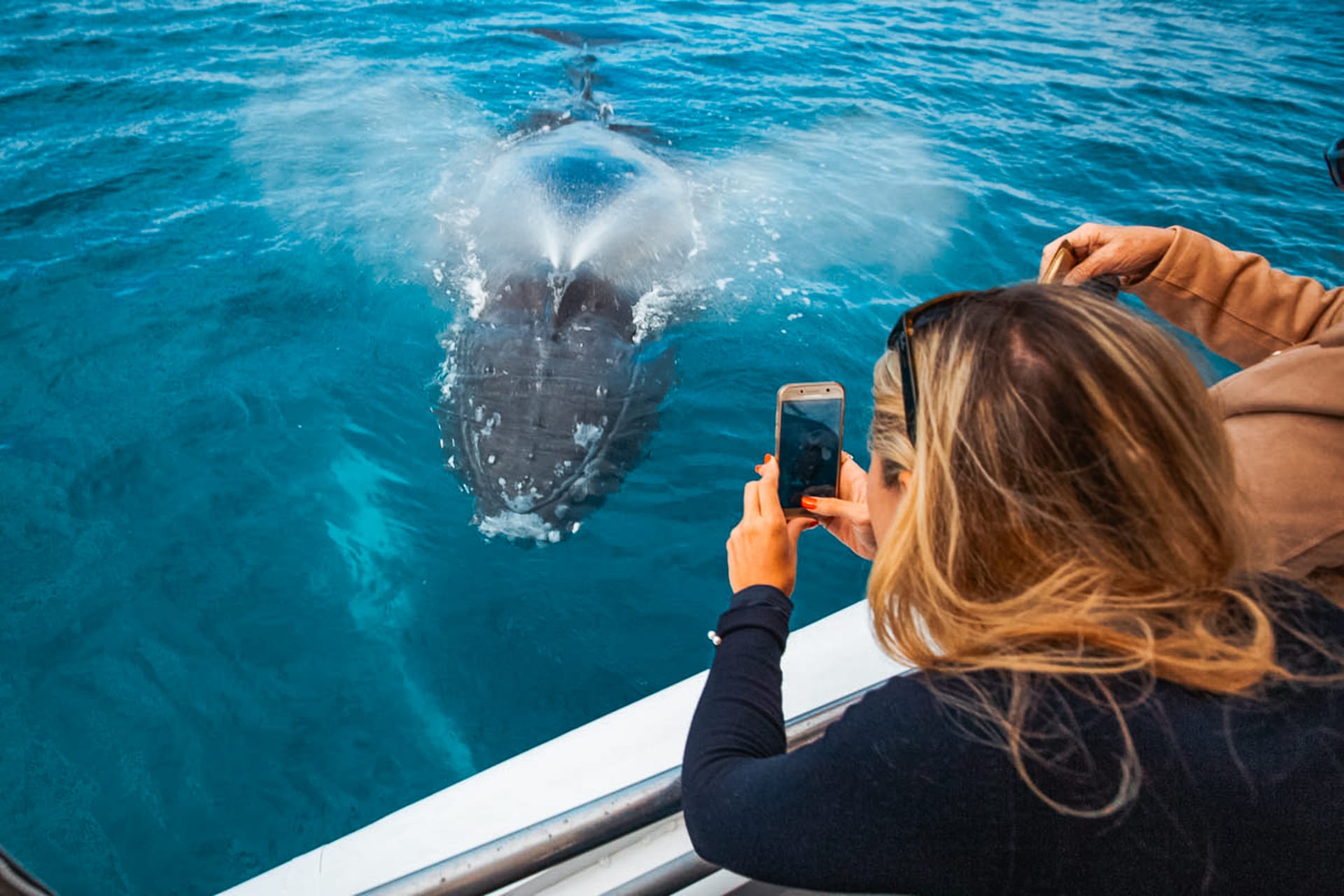 From Hervey Bay: Half-Day Whale Watching Cruise with Marine Biologist tickets in Hervey Bay - Attractions | TickYourList