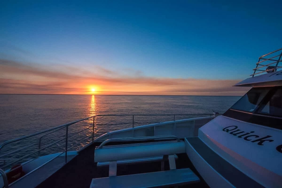 From Hervey Bay: Half-Day Whale Watching Cruise with 3 Viewing Levels & Refreshments experience tickets in Hervey Bay | TickYourList