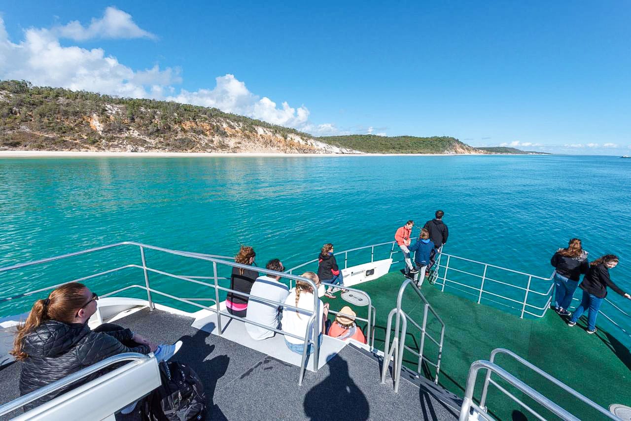 From Hervey Bay: Half-Day Whale Watching Cruise with 3 Viewing Levels & Refreshments tickets in Hervey Bay - Attractions | TickYourList