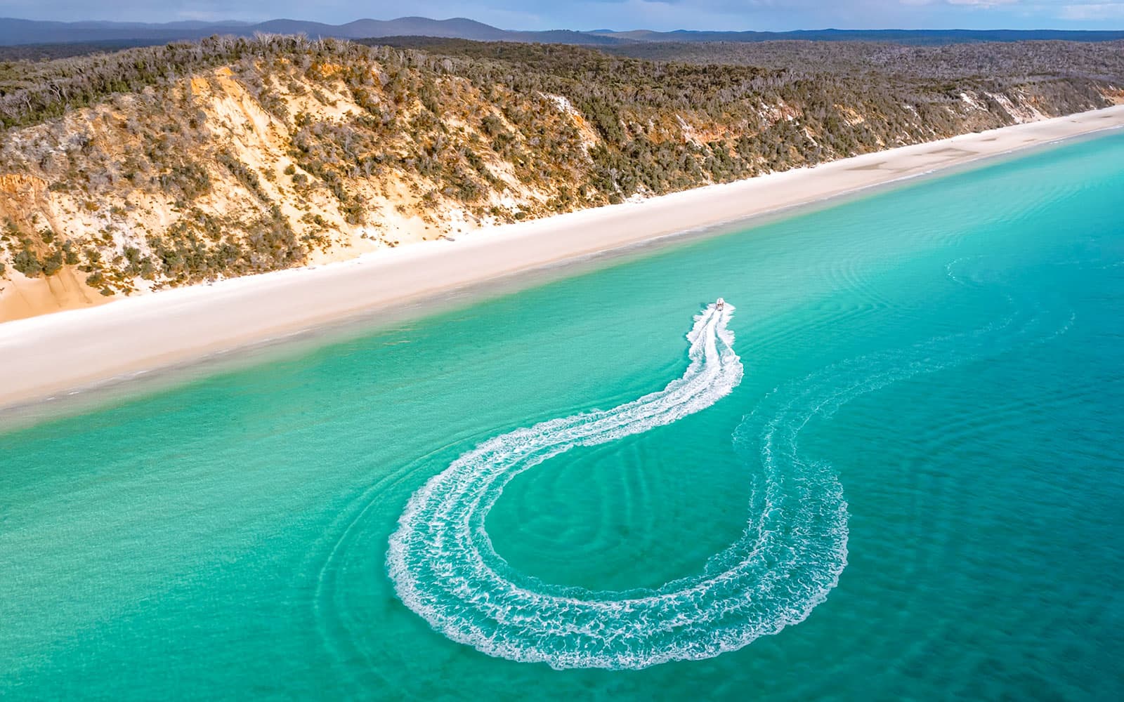From Hervey Bay: Half-Day Whale Watching Cruise & Island Adventure Tour tickets in Hervey Bay - Activities | TickYourList