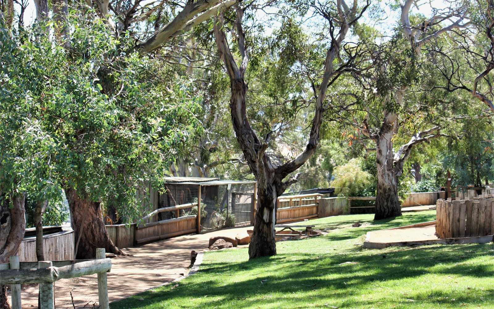 Bonorong Wildlife Sanctuary Tickets in Hobart - Activities | TickYourList