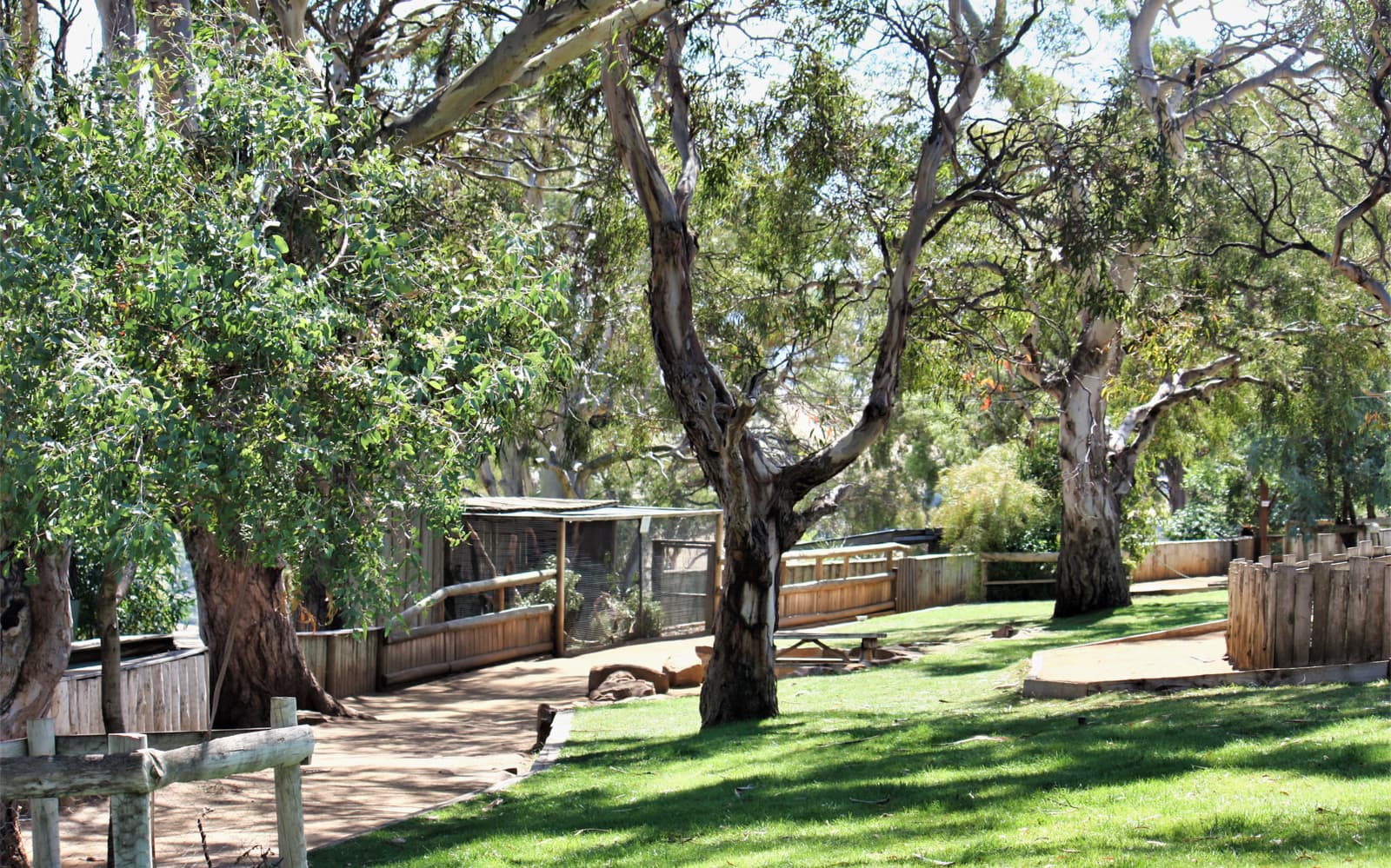 Tickets to the 3-Hour Private, Premium Feeding Frenzy at Bonorong Wildlife Sanctuary in Hobart - Discover | TickYourList