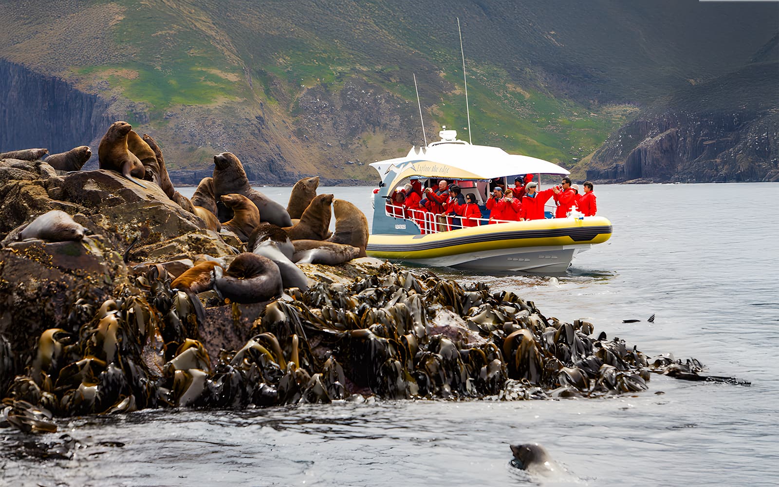 Bruny Island Wilderness Cruise tickets in Hobart - Highlights | TickYourList