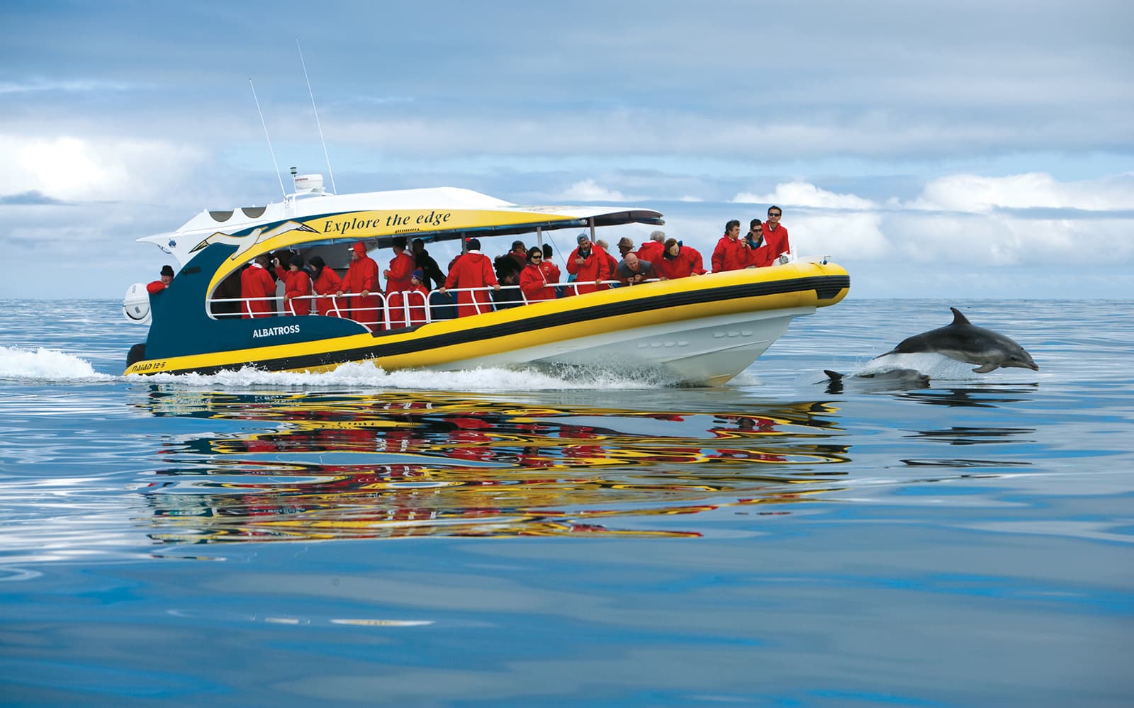 From Port Arthur: Tasman Island 3-Hour Wilderness Cruise