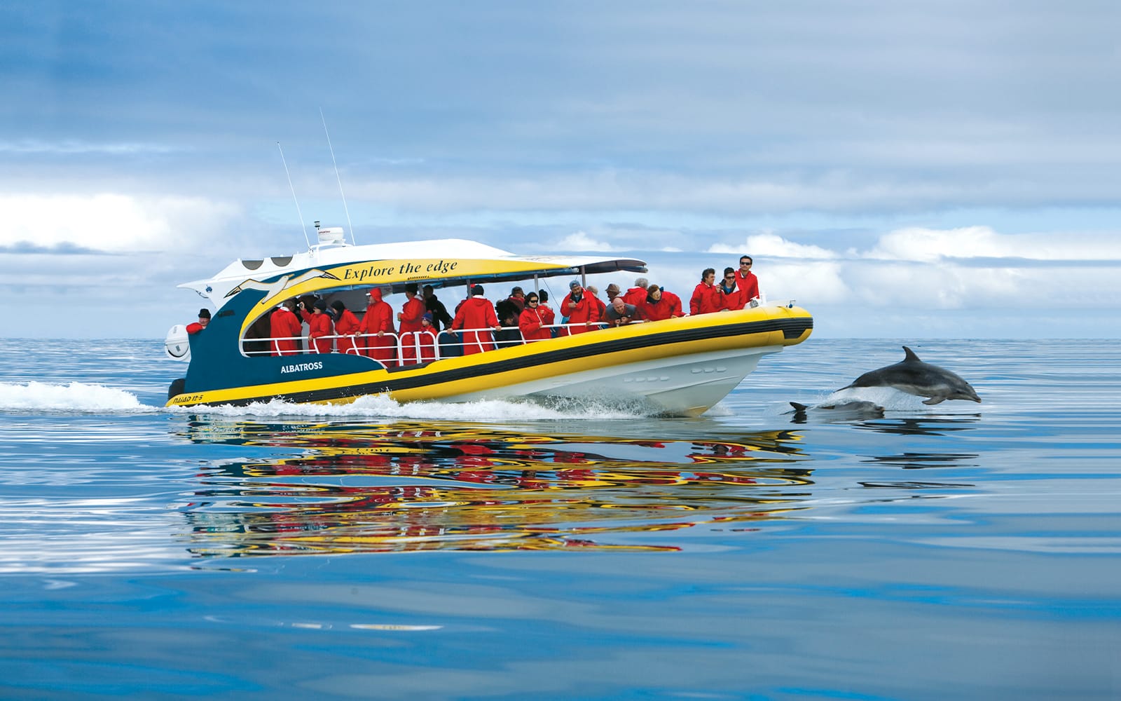 Full-Day Tasman Island Tour with Cruise and Lunch from Hobart experience tickets in Hobart | TickYourList