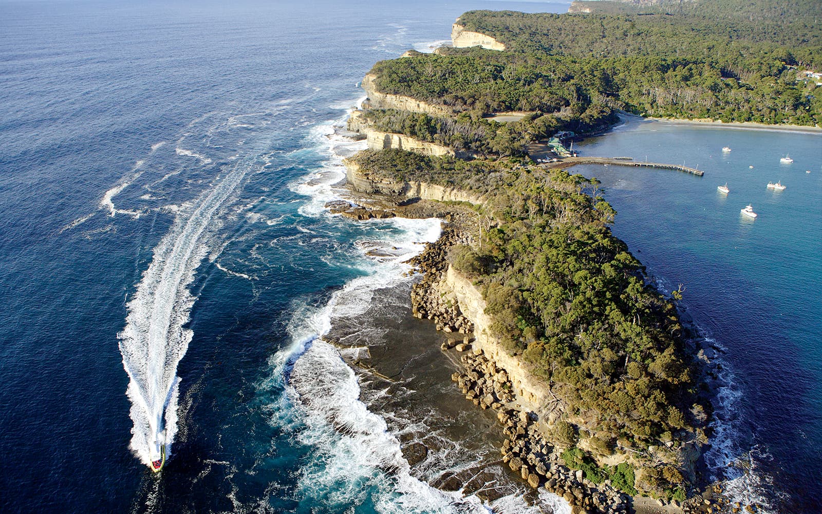 Full-Day Tasman Island Tour with Cruise and Lunch from Hobart tickets in Hobart - Activities | TickYourList