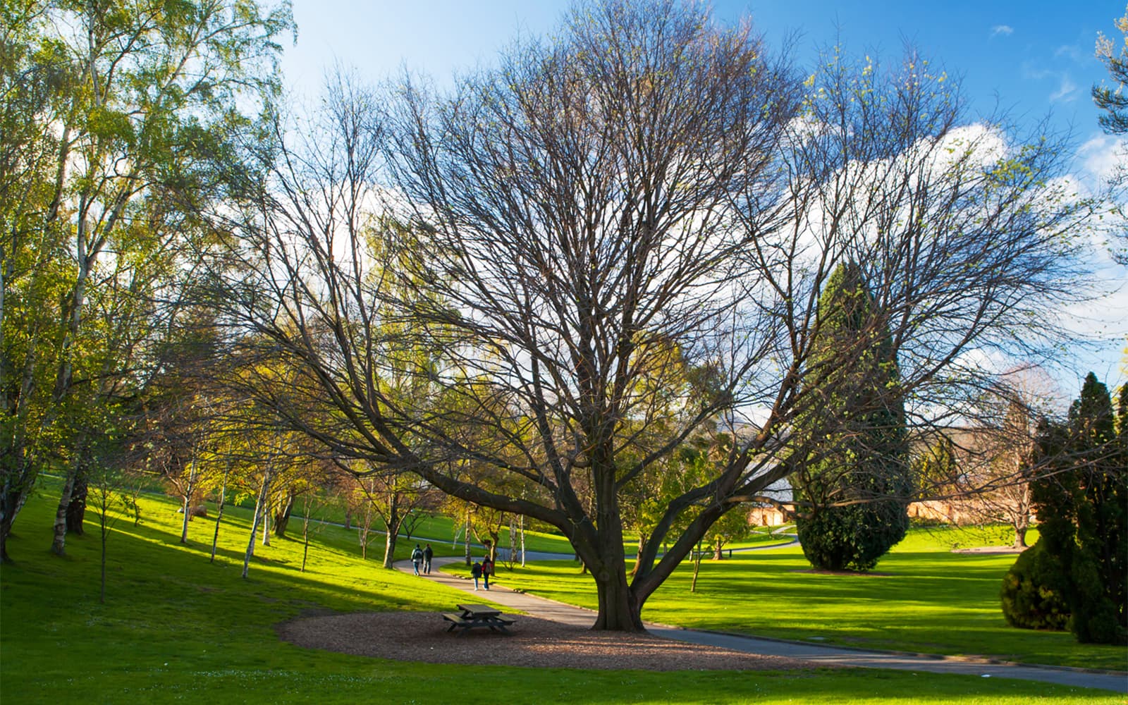 Red Decker: Hobart Hop-on Hop-off Bus Tour tickets in Hobart - Features | TickYourList