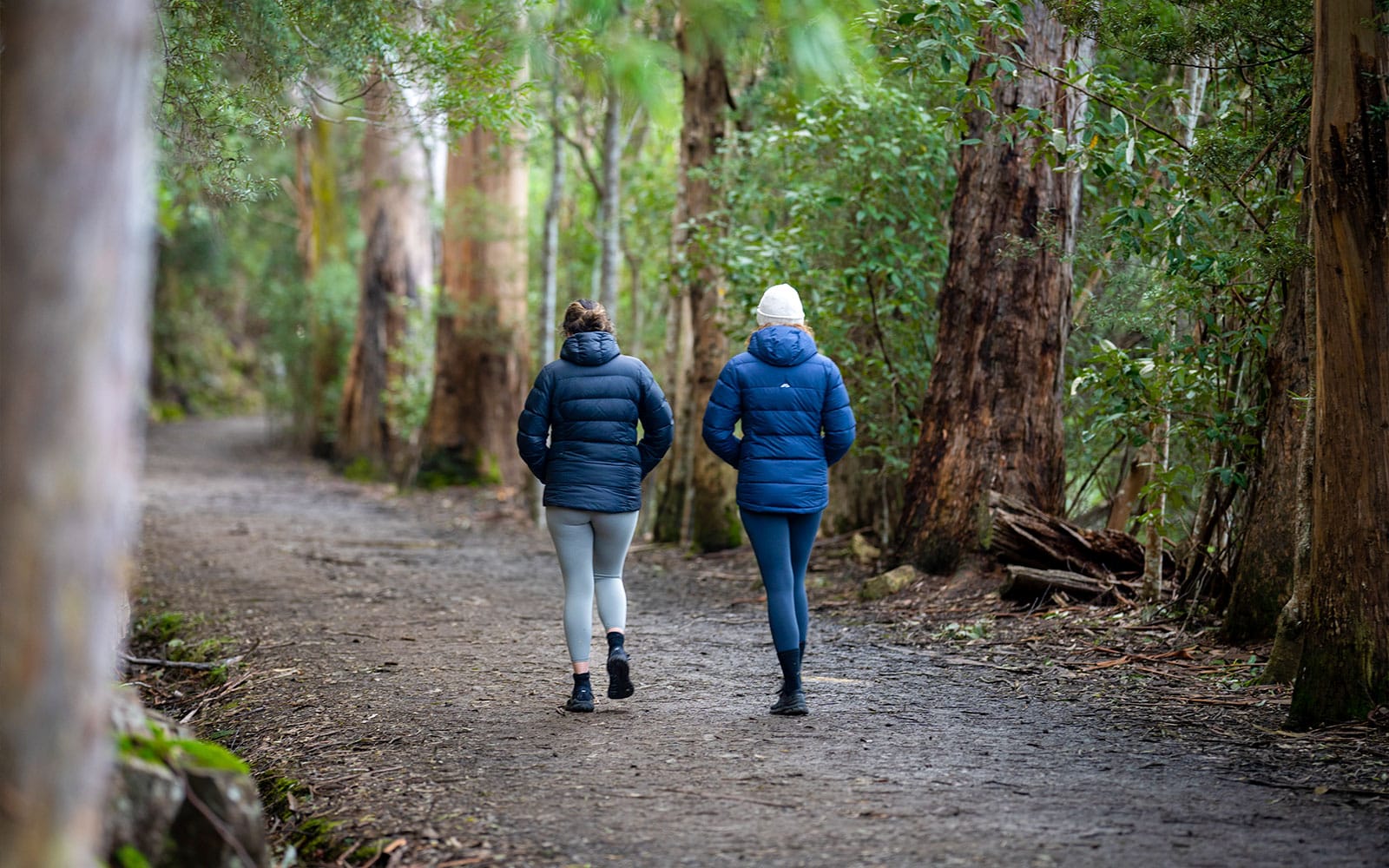 kunanyi/Mt Wellington Explorer One-Way Bus Pass tickets in Hobart - Highlights | TickYourList