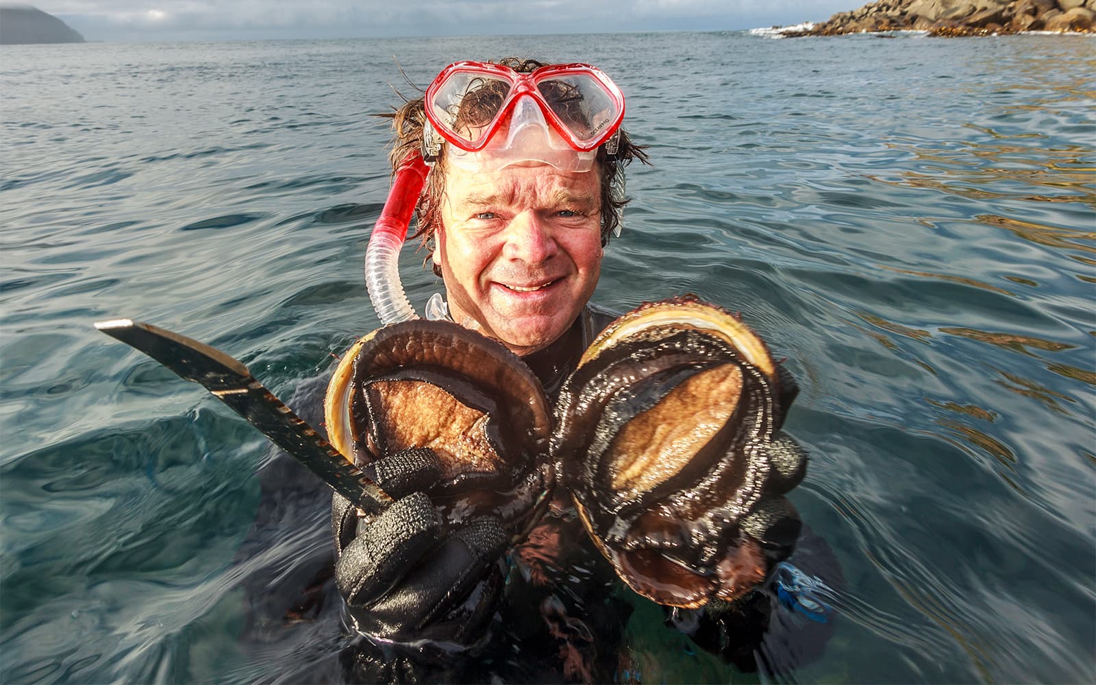 Full-Day Guided Cruise Tour in Tasmania with Seafood Lunch tickets in Hobart - Activities | TickYourList