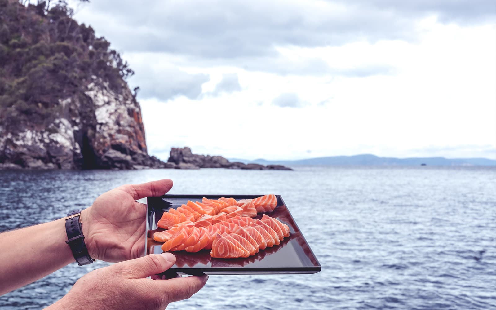 Full-Day Guided Cruise Tour in Tasmania with Seafood Lunch tickets in Hobart - Highlights | TickYourList