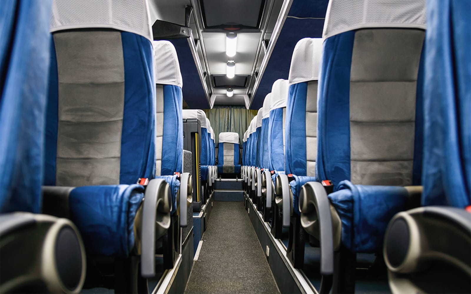 Bus Transfer: Hobart Airport to/from Hobart City Center by Skybus tickets in Hobart - Attractions | TickYourList