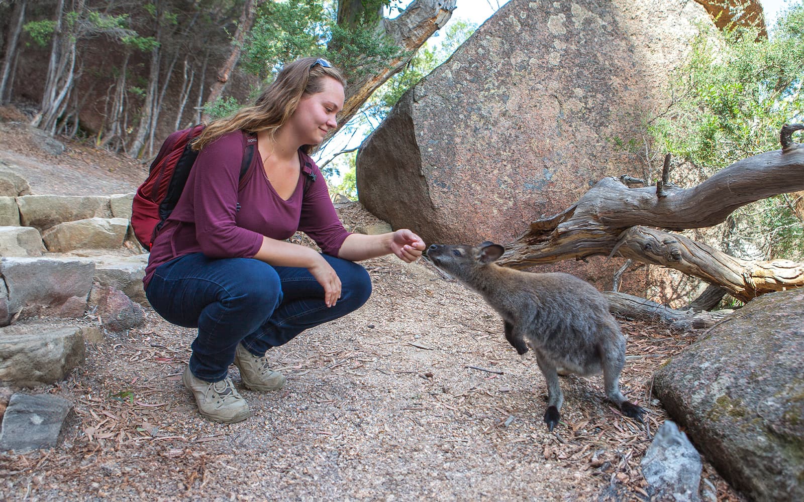 Day Tour from Hobart to Launceston via Wineglass Bay