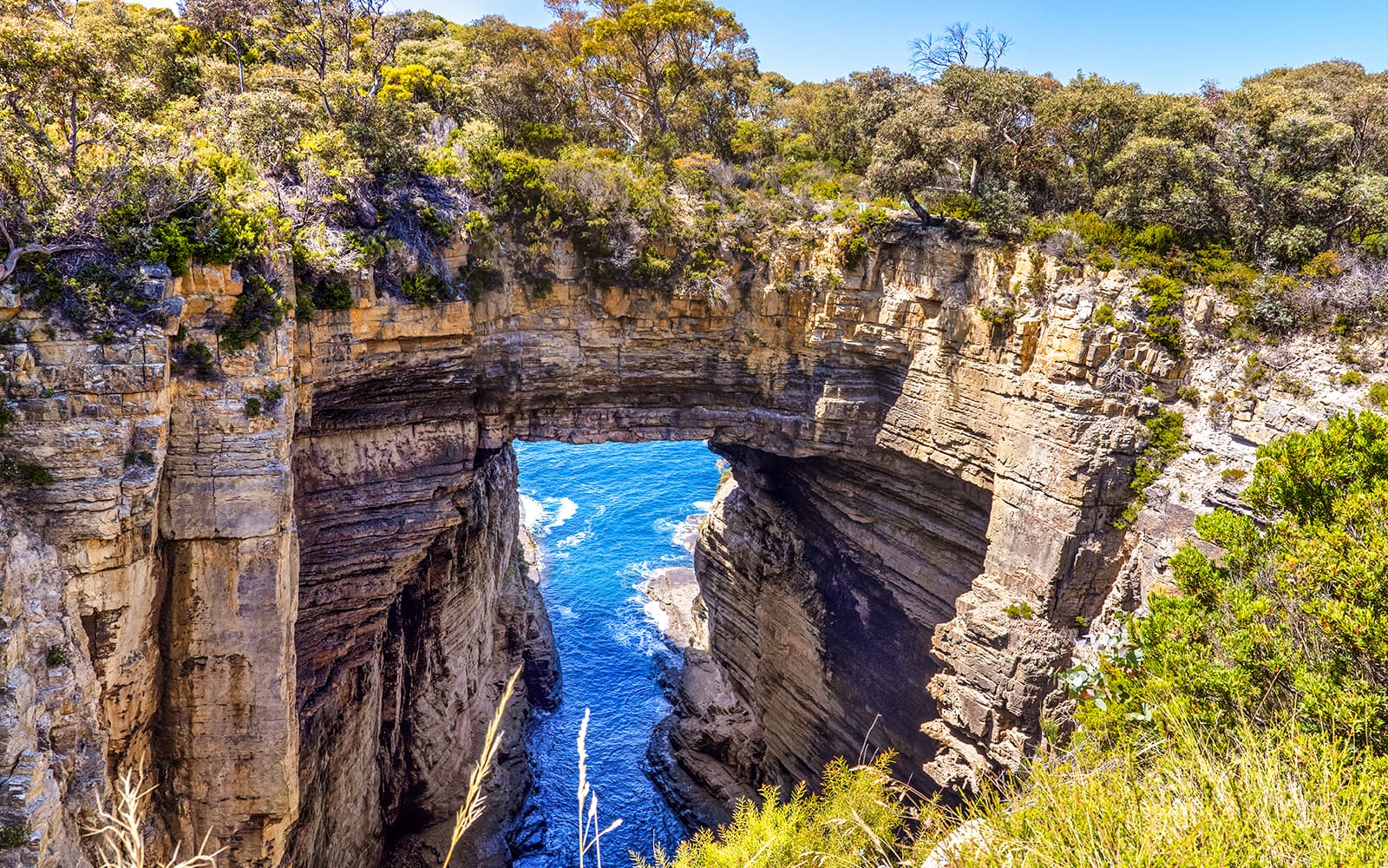 From Hobart: Port Arthur & Tasmanian Devils Guided Tour tickets in Hobart - Activities | TickYourList