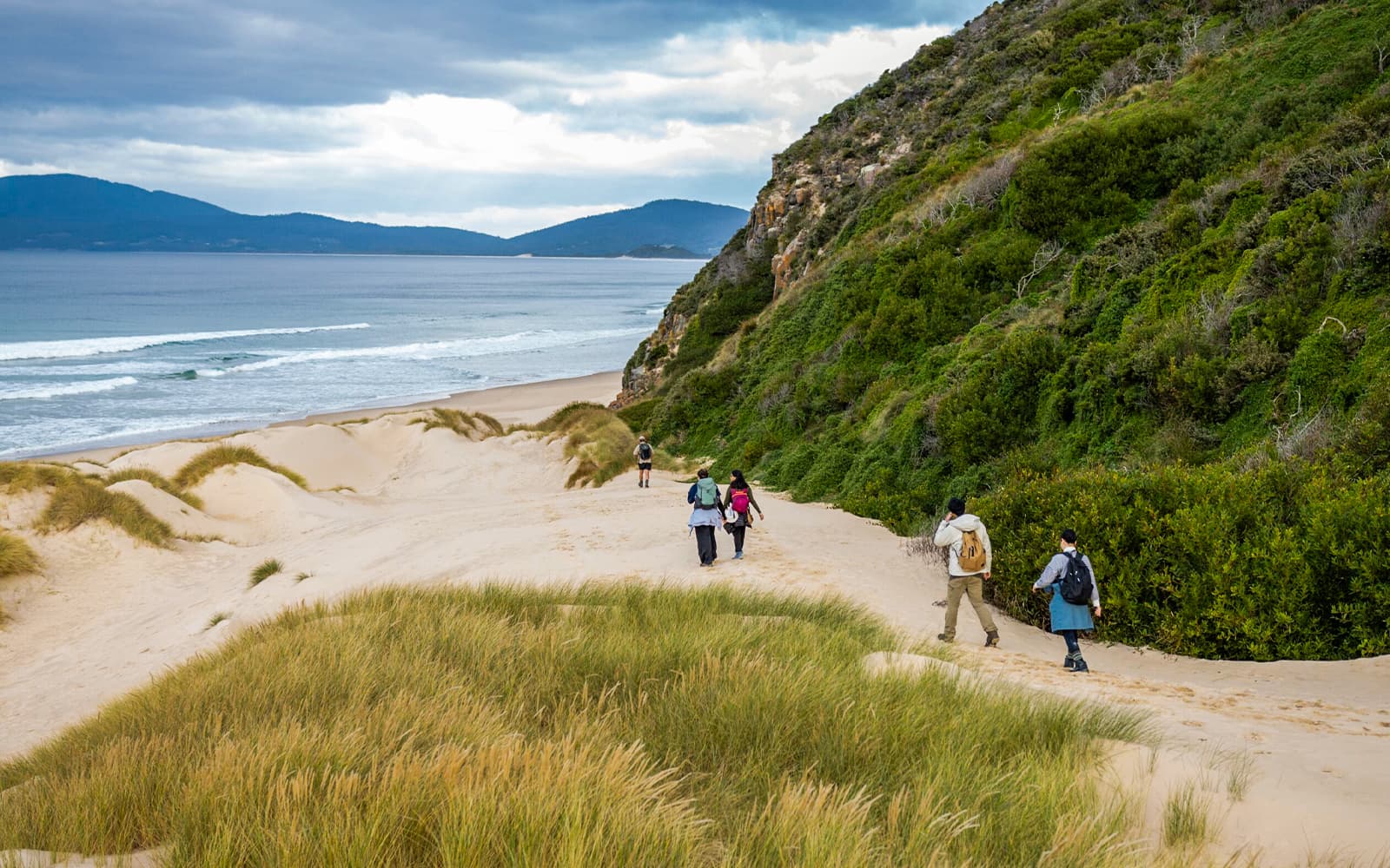 From Hobart: Bruny Island Full-Day Guided Tour + Nature Walk & Gourmet Tastings tickets in Hobart - Attractions | TickYourList