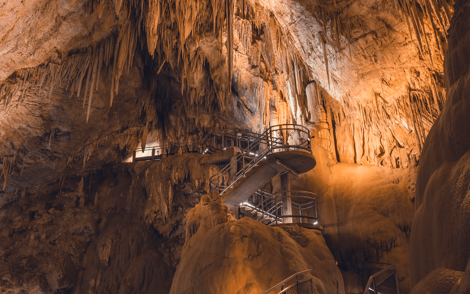 Full-Day Guided Tour of Hastings Caves, Tahune, and Huon Valley tickets in Hobart - Features | TickYourList