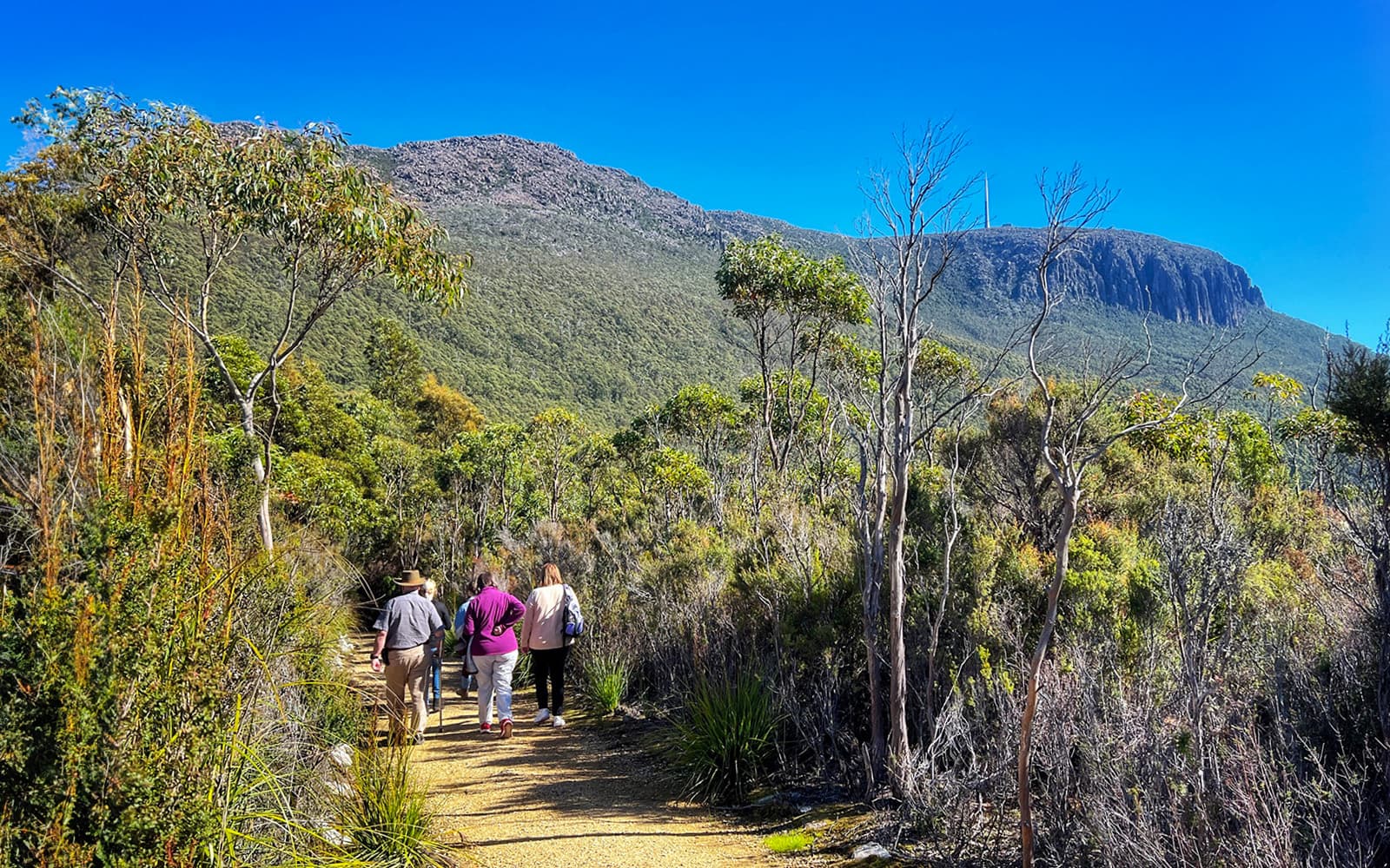 Guided Tour of Mt Wellington tickets in Hobart - Attractions | TickYourList
