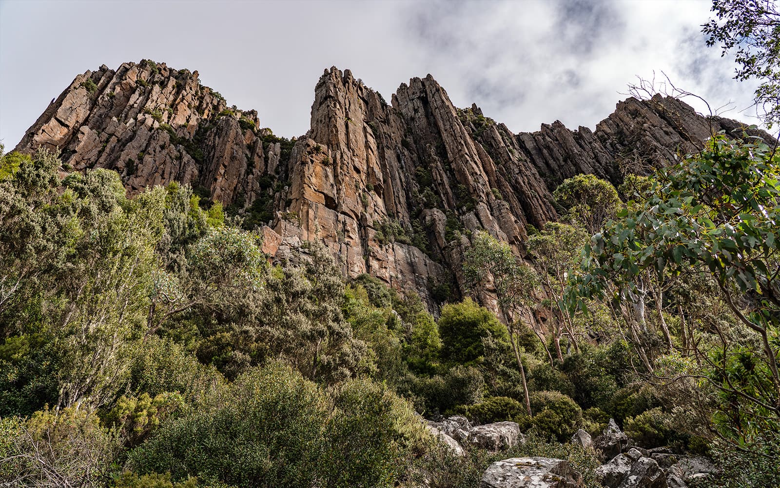 Guided Tour of Mt Wellington tickets in Hobart - Activities | TickYourList