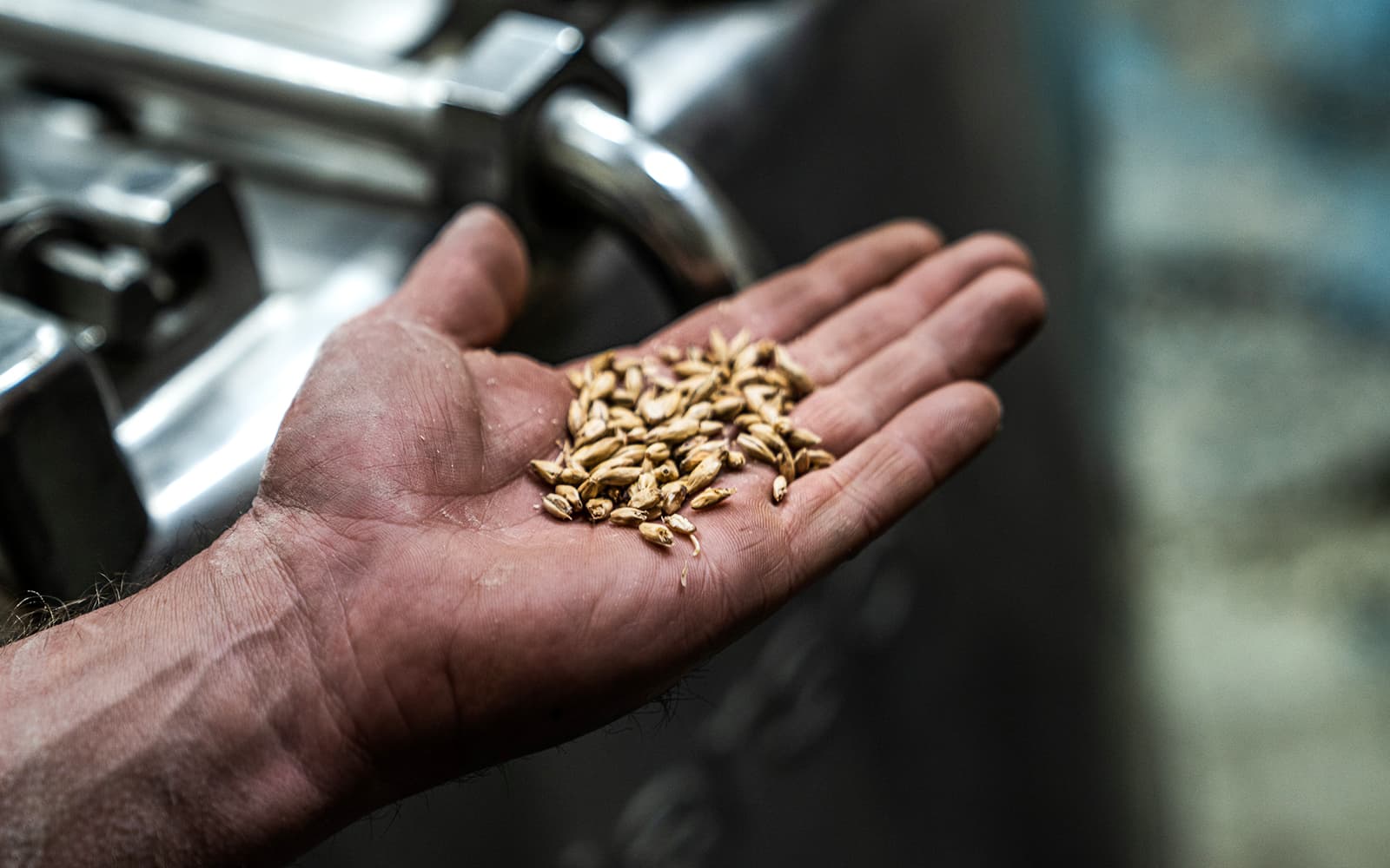 From Hobart: Tasmania Distillery Guided Tour with Lunch & Mega Tasting tickets in Hobart - Attractions | TickYourList