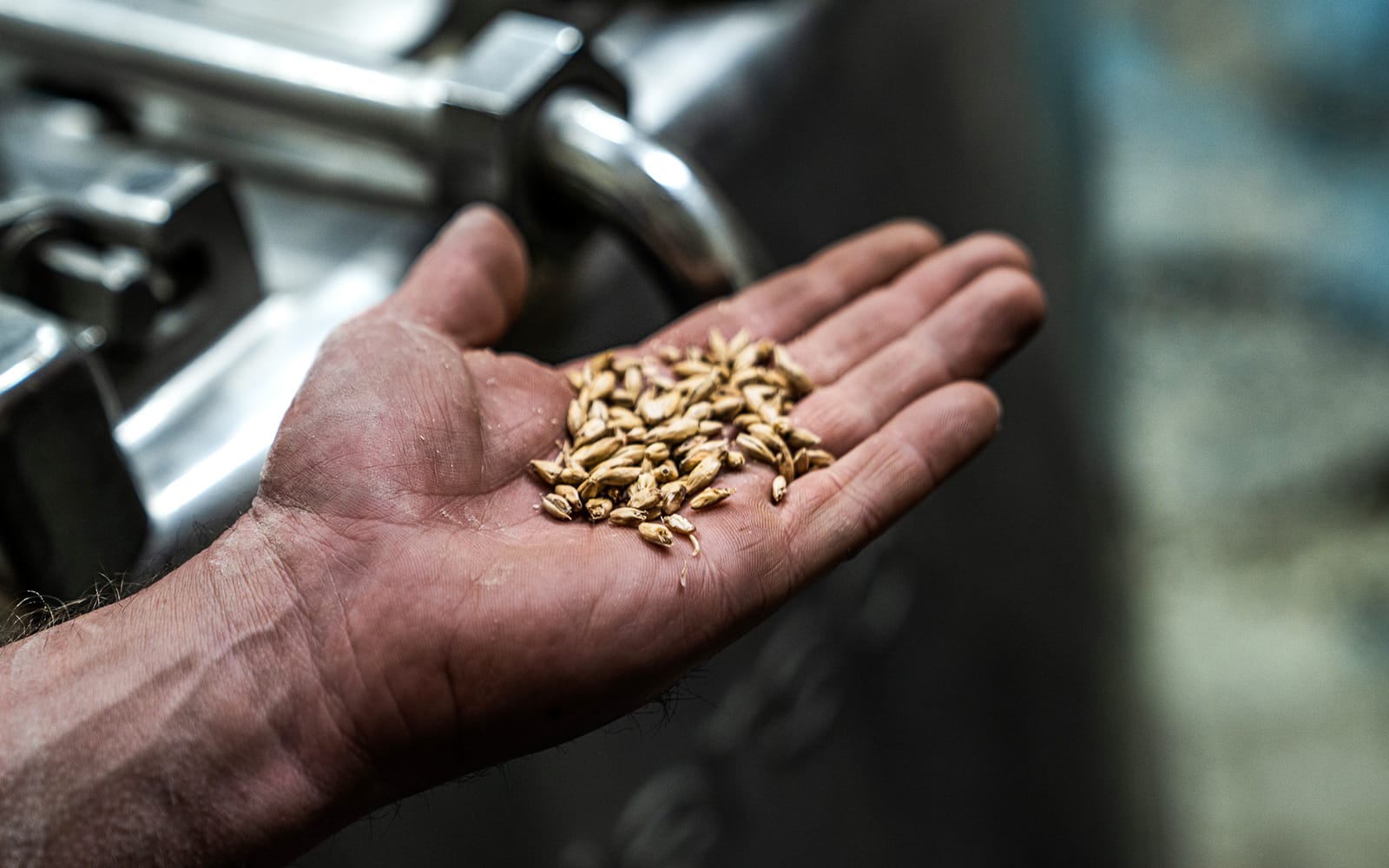 From Hobart: Tasmania Distillery Guided Tour with Lunch & Mega Tasting tickets in Hobart - Attractions | TickYourList