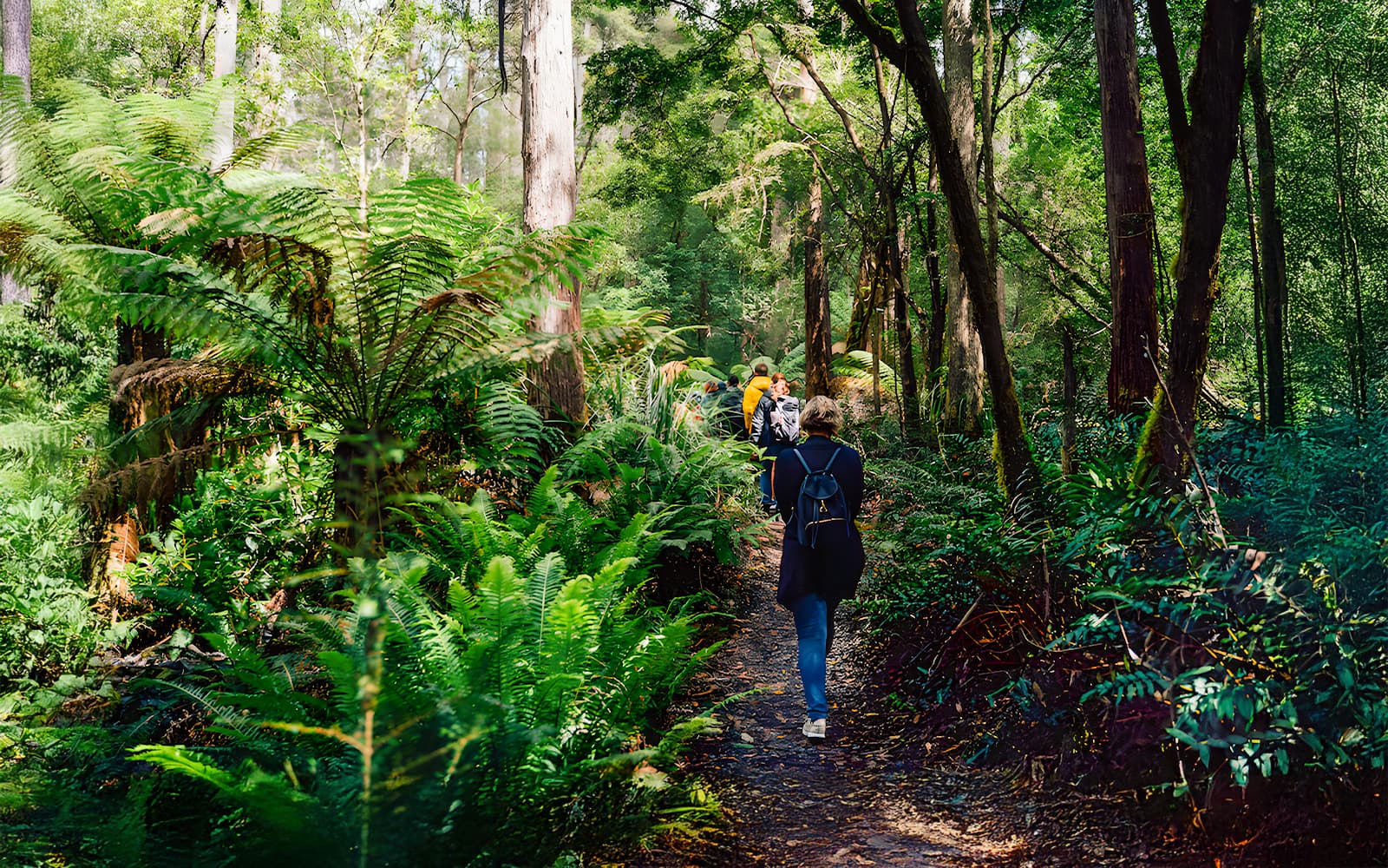 From Hobart: Bruny Island Full-Day Guided Tour tickets in Hobart - Highlights | TickYourList