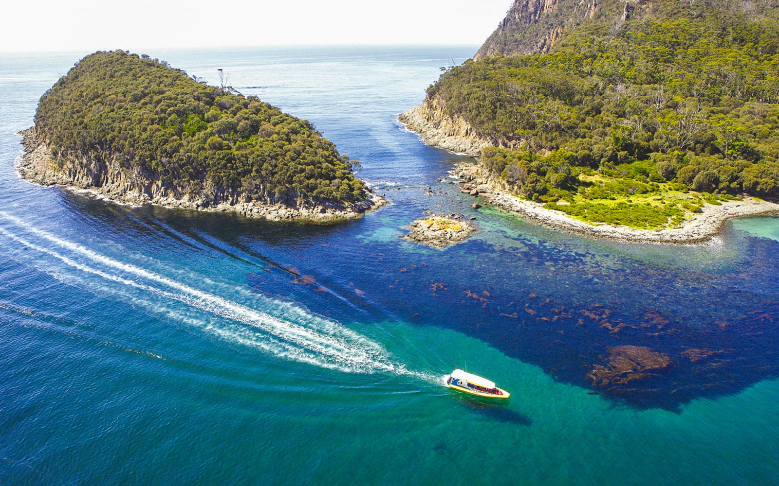 From Hobart: Bruny Island Full-Day Bus Tour with Eco Wilderness Cruise tickets in Hobart - Features | TickYourList