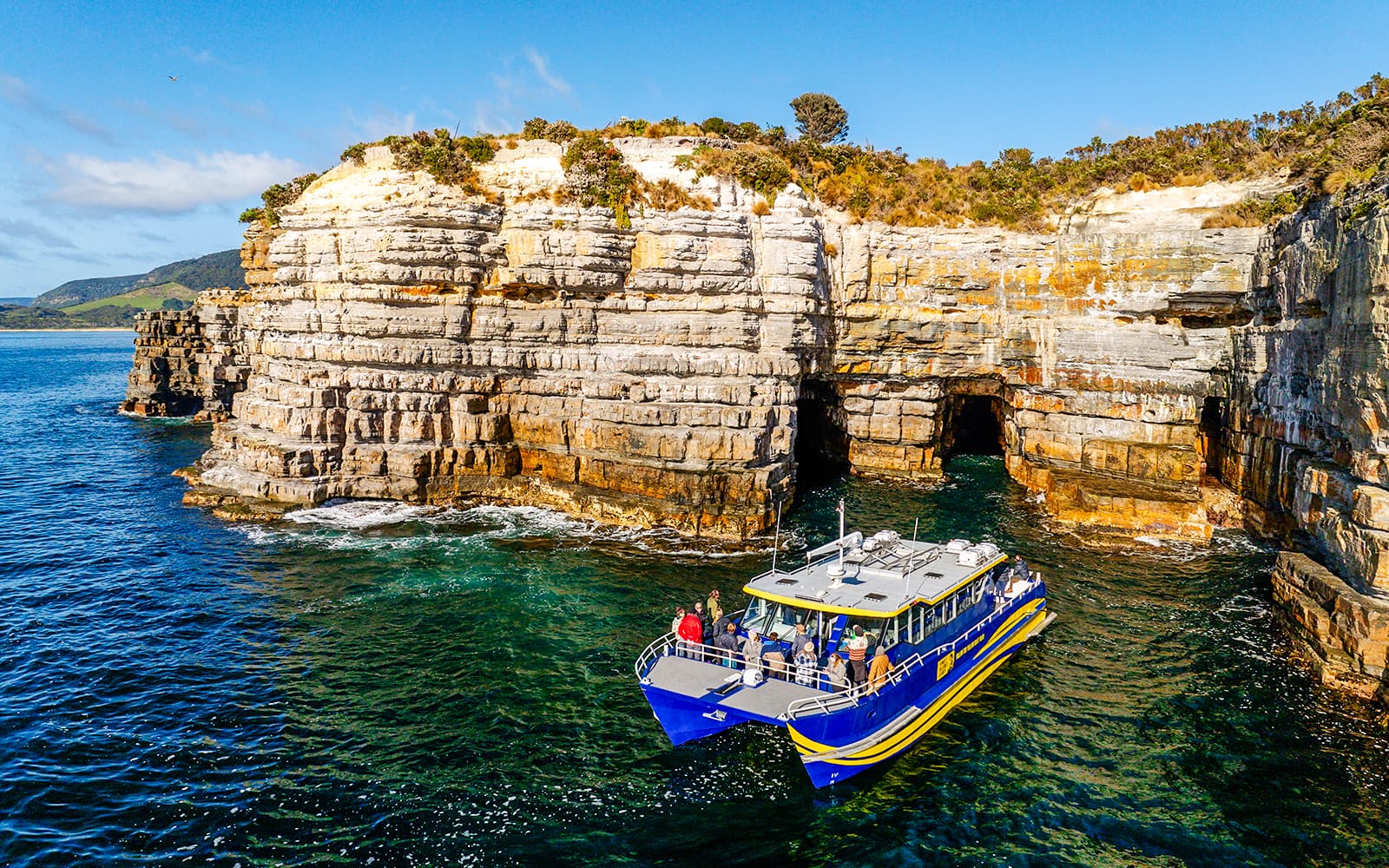 Cape Raoul Wilderness Cruise from Port Arthur