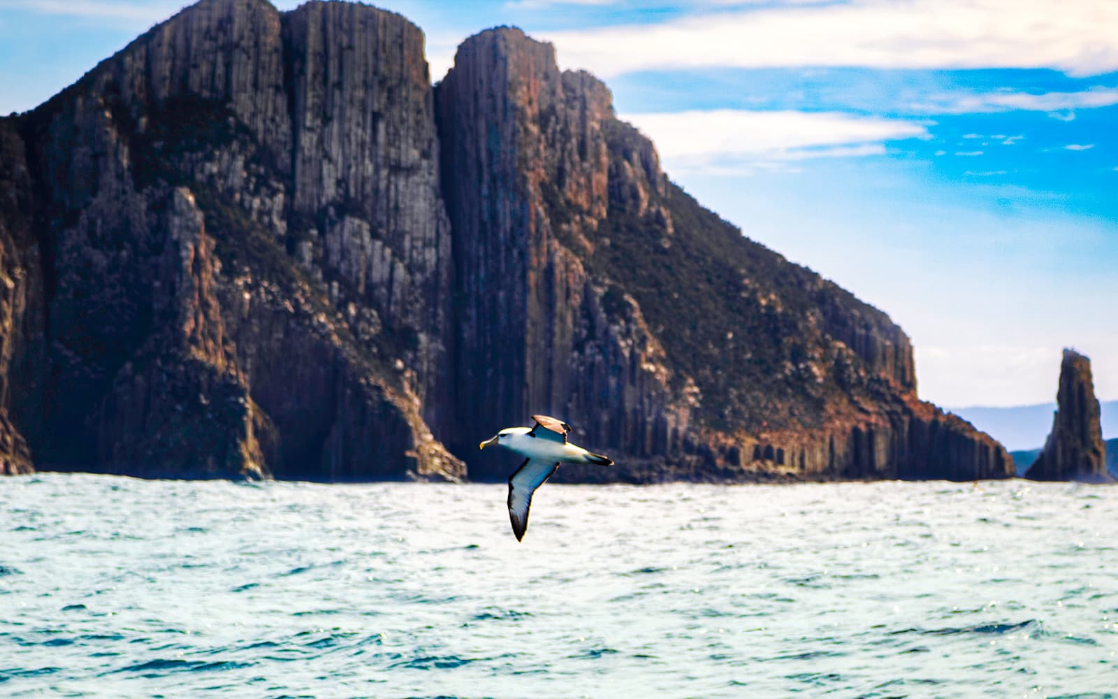 Cape Raoul Wilderness Cruise from Port Arthur tickets in Hobart - Activities | TickYourList