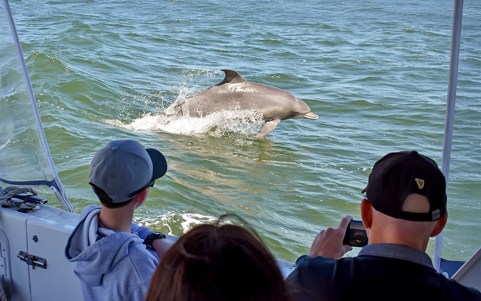 From Mandurah: Scenic View Dolphin Cruise