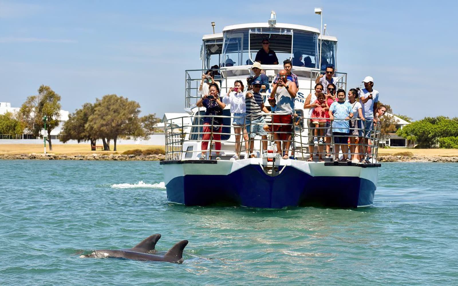 From Mandurah: Scenic View Dolphin Cruise tickets in Perth - Highlights | TickYourList