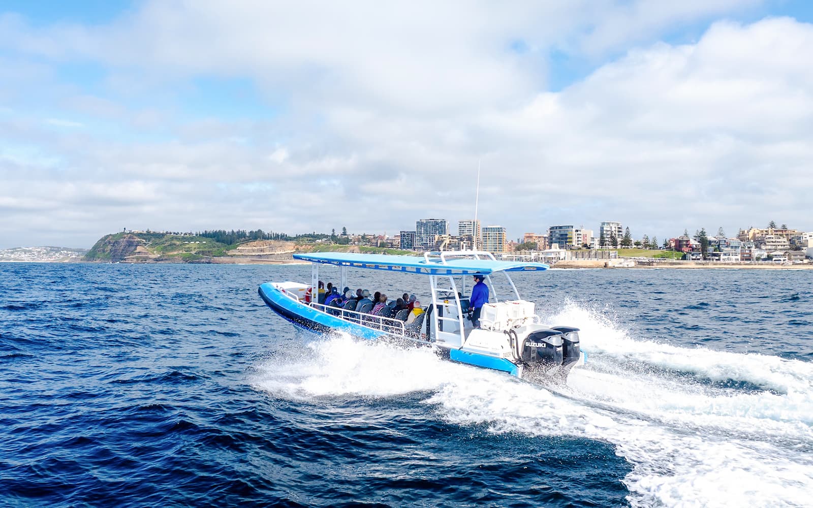 Newcastle Whale Watching Eco Cruise tickets in Newcastle - Attractions | TickYourList