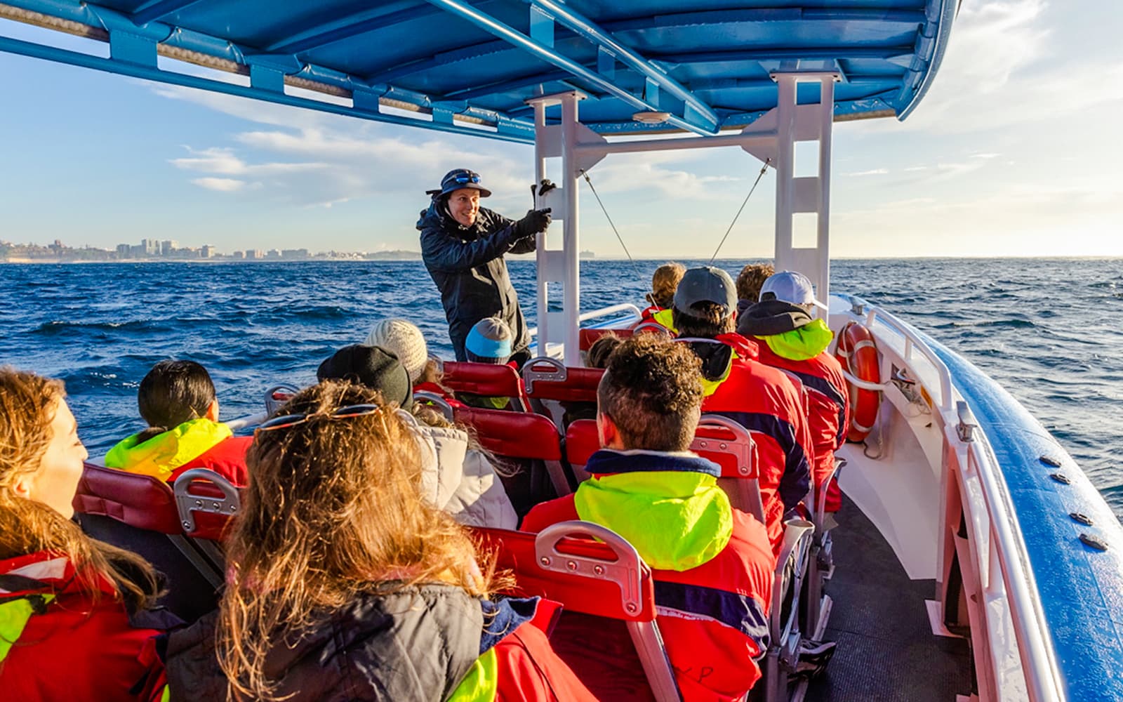 Newcastle Whale Watching Eco Cruise tickets in Newcastle - Highlights | TickYourList
