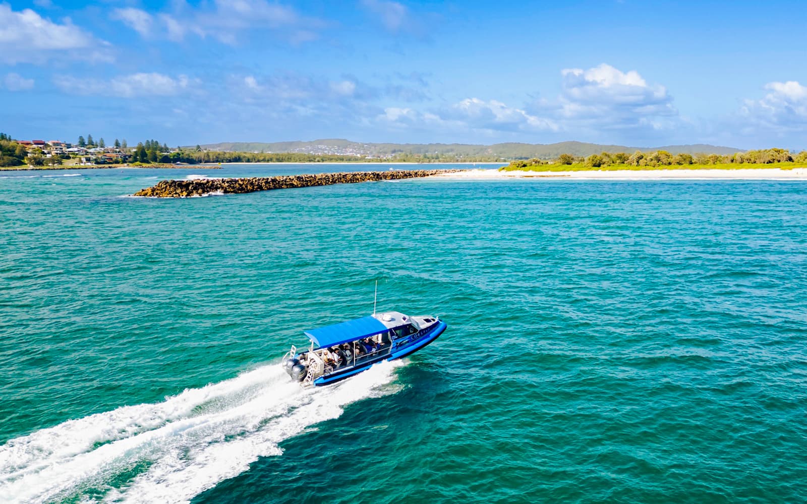 Lake Macquarie Whale Watching Eco Cruise tickets in Newcastle - Features | TickYourList