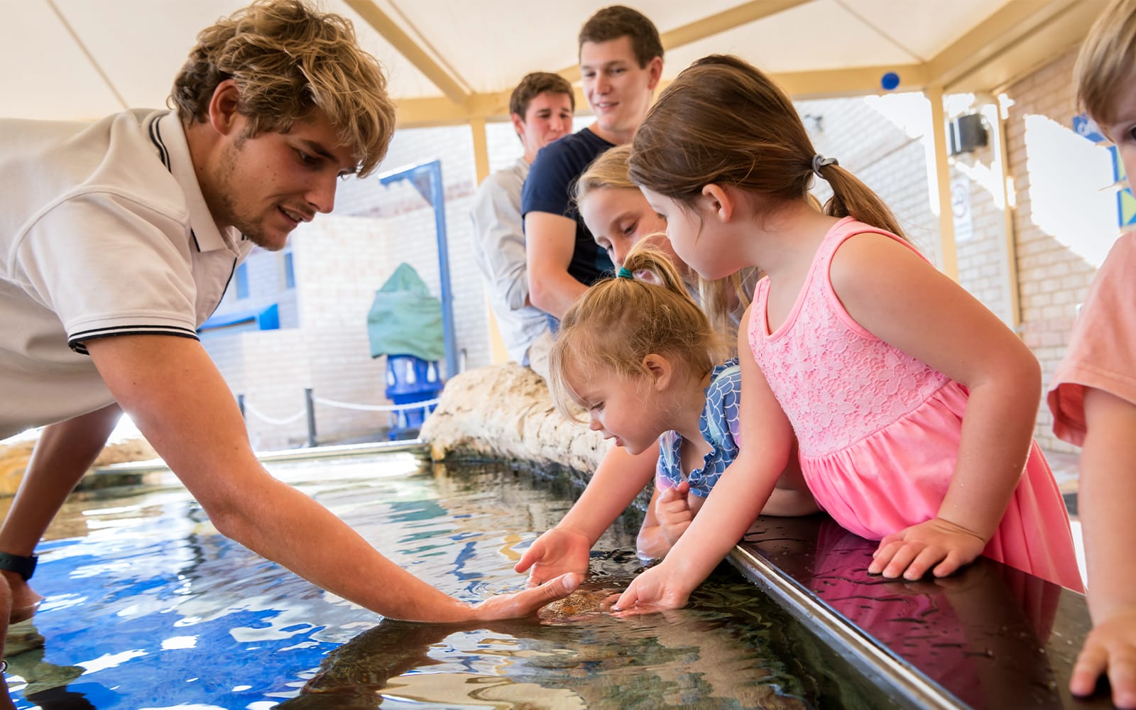 The Aquarium of Western Australia (AQWA) Tickets experience in Perth | TickYourList