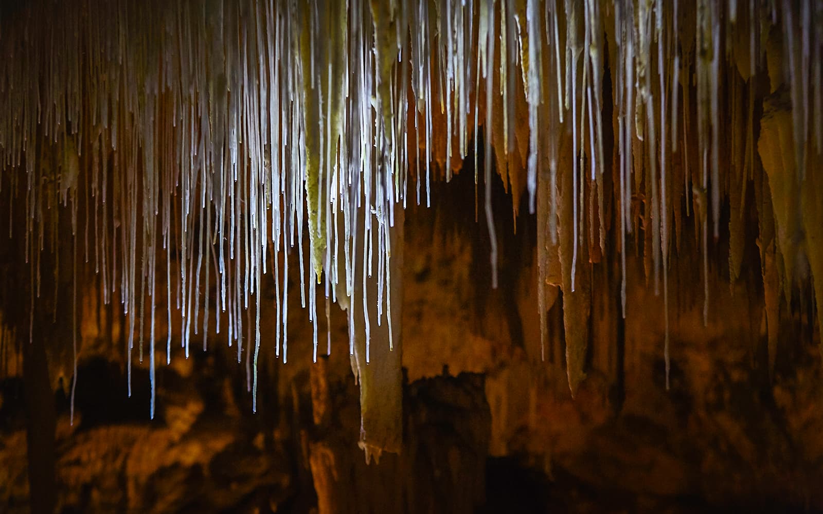 Lake Cave Margaret River Guided Tour tickets in Perth - Attractions | TickYourList