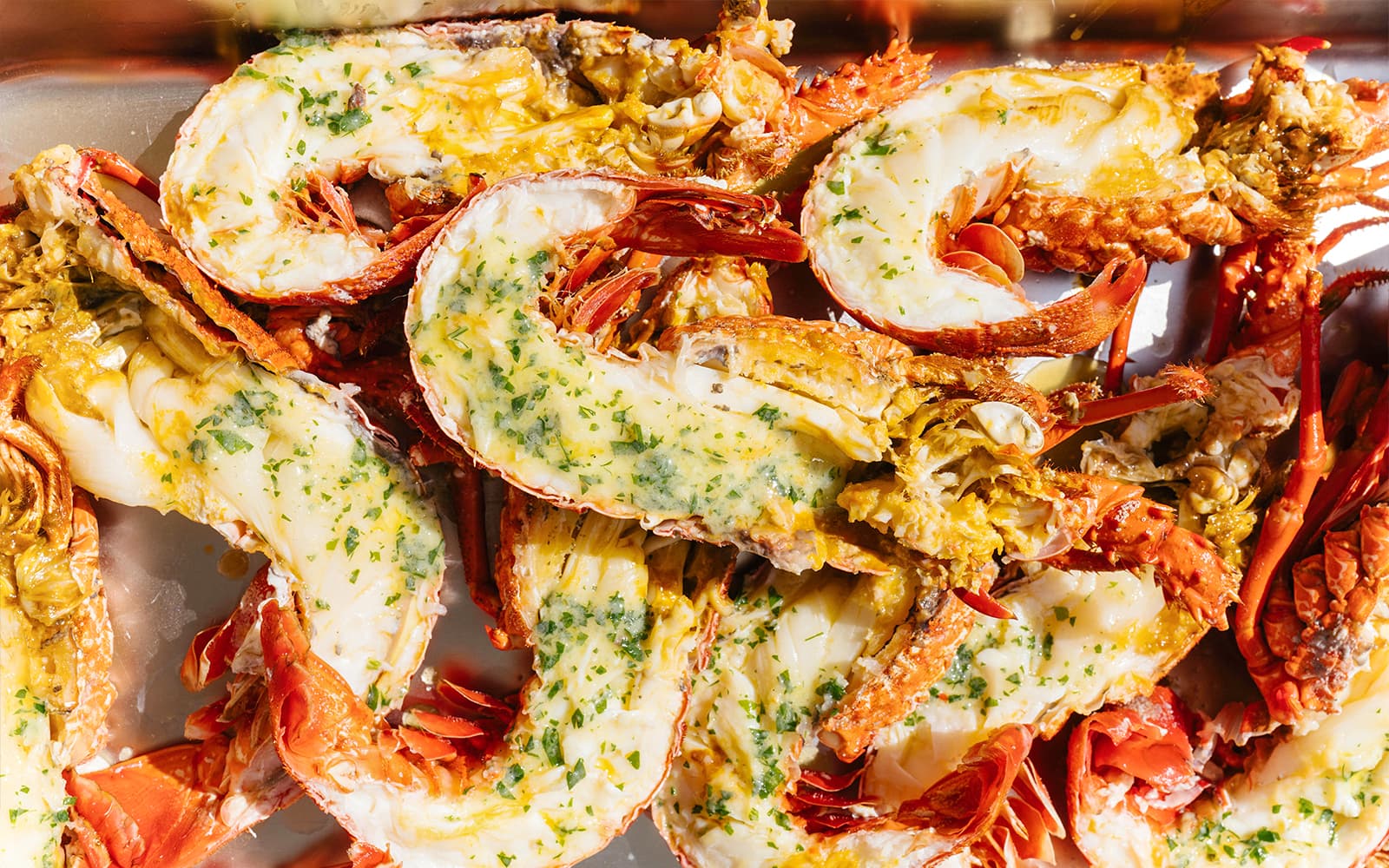 Rottnest Island Luxe Seafood Cruise tickets in Perth - Features | TickYourList
