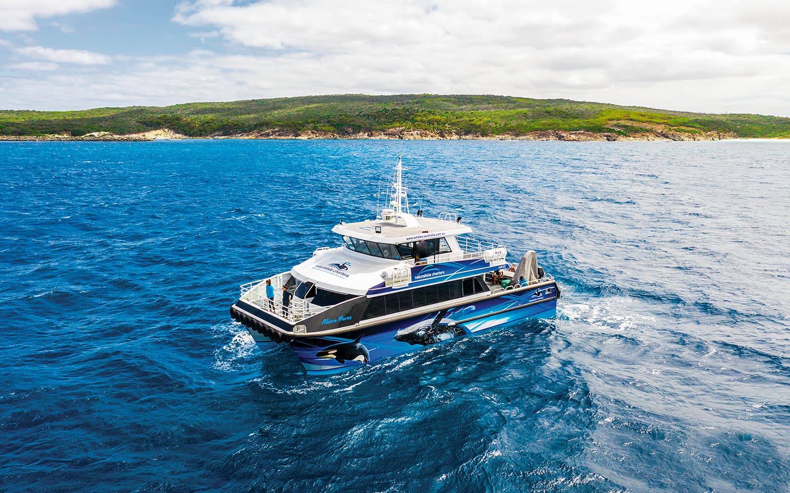 From Augusta: Whale Watching Cruise