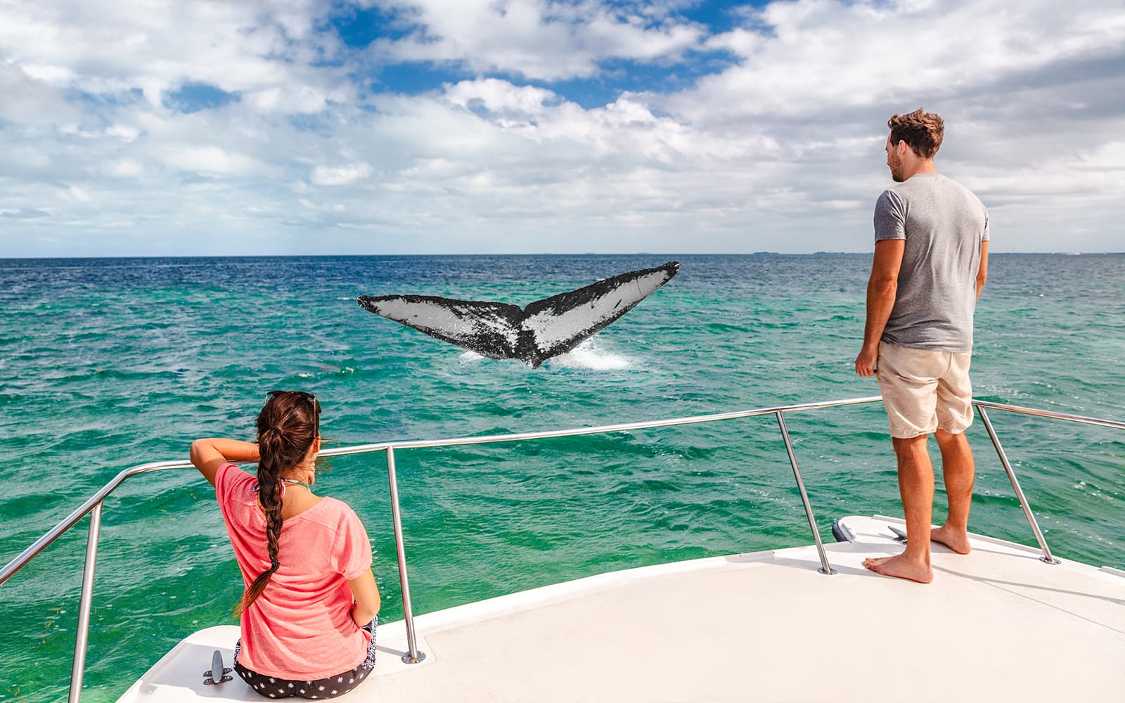 From Dunsborough: Whale Watching Cruise tickets in Perth - Activities | TickYourList