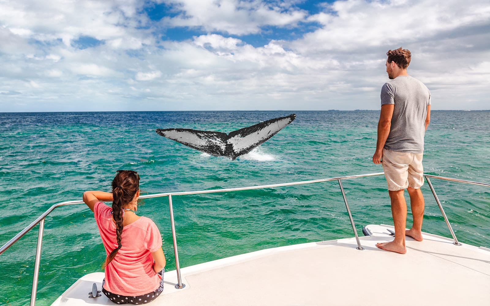 From Dunsborough: Whale Watching Cruise tickets in Perth - Activities | TickYourList