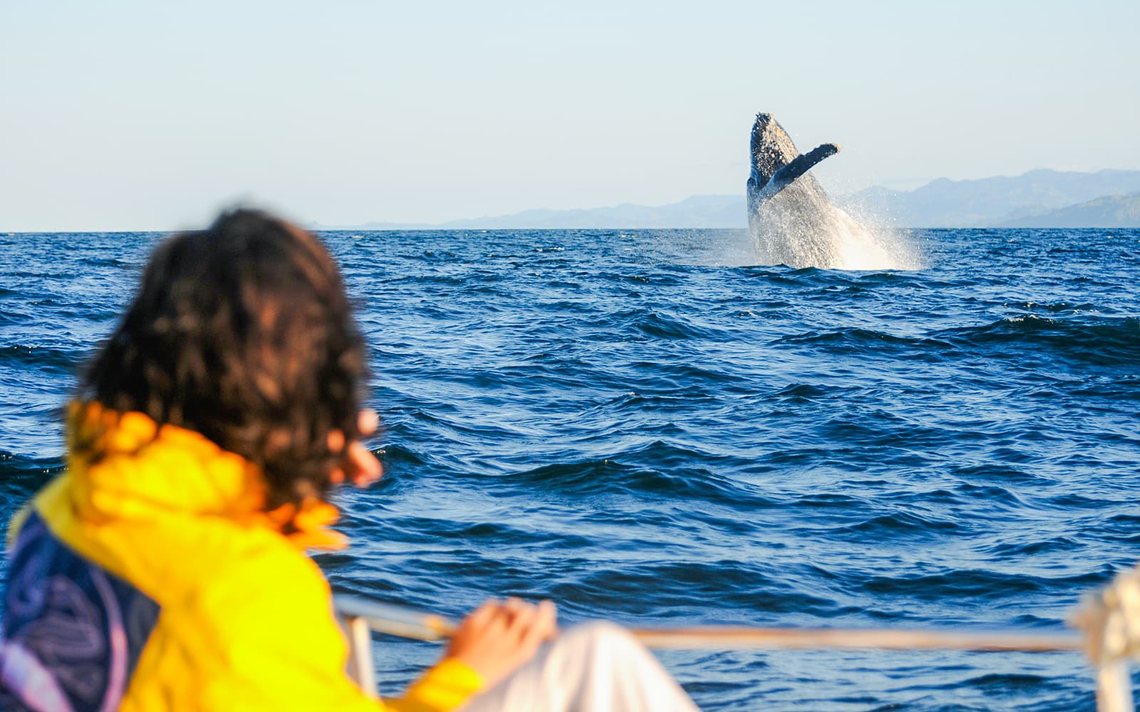 From Dunsborough: Whale Watching Cruise tickets in Perth - Features | TickYourList