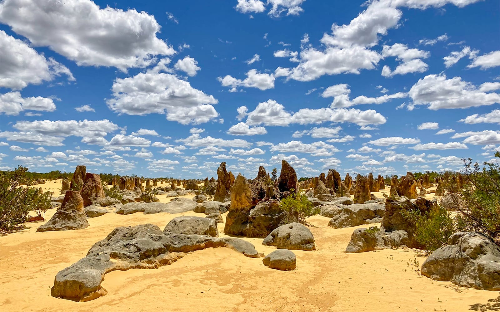 10-Hour Guided Tour of Australia's Pinnacles with Lunch & Round-Trip Hotel Transfers experience tickets in Perth | TickYourList
