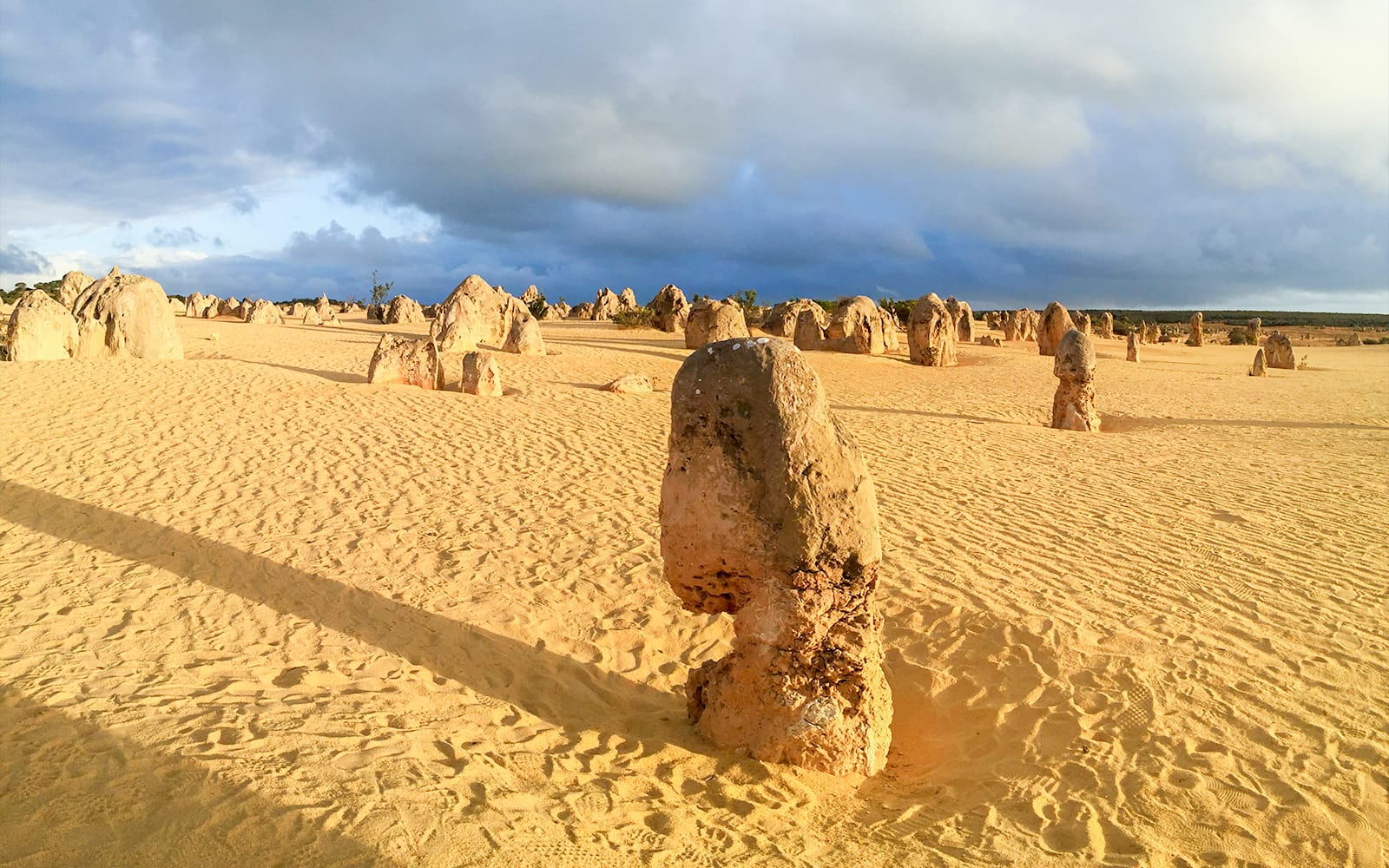 10-Hour Guided Tour of Australia's Pinnacles with Lunch & Round-Trip Hotel Transfers tickets in Perth - Highlights | TickYourList