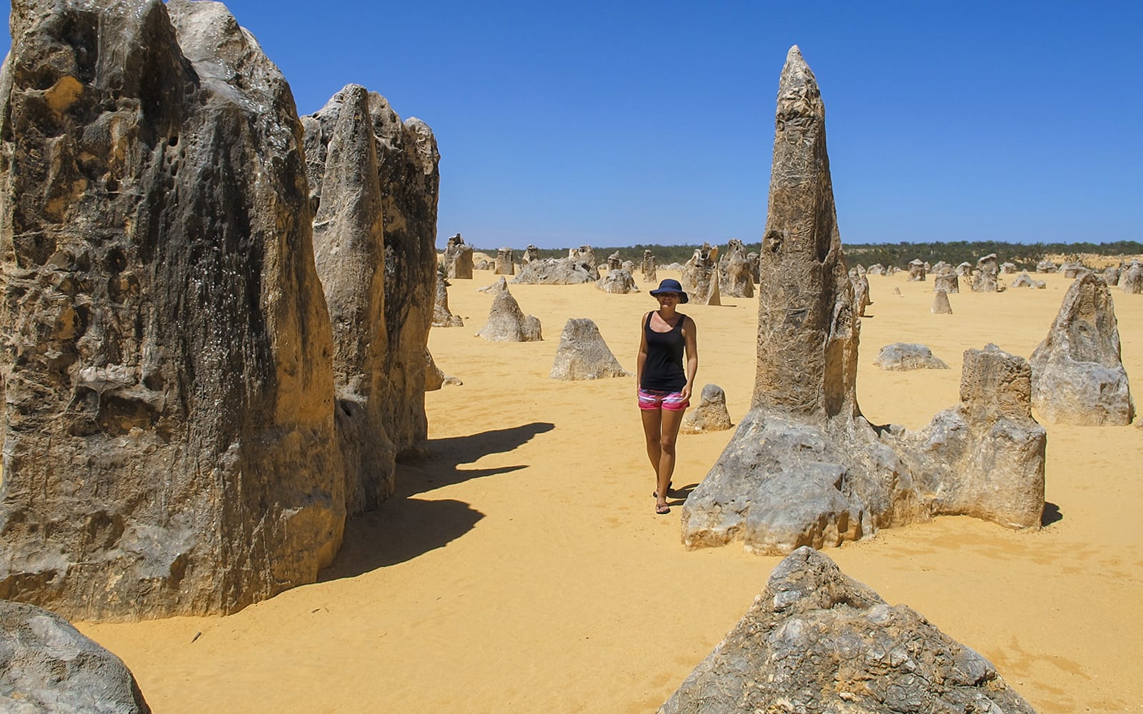 From Perth: Outback Coast 4-Day Guided Tour experience tickets in Perth | TickYourList