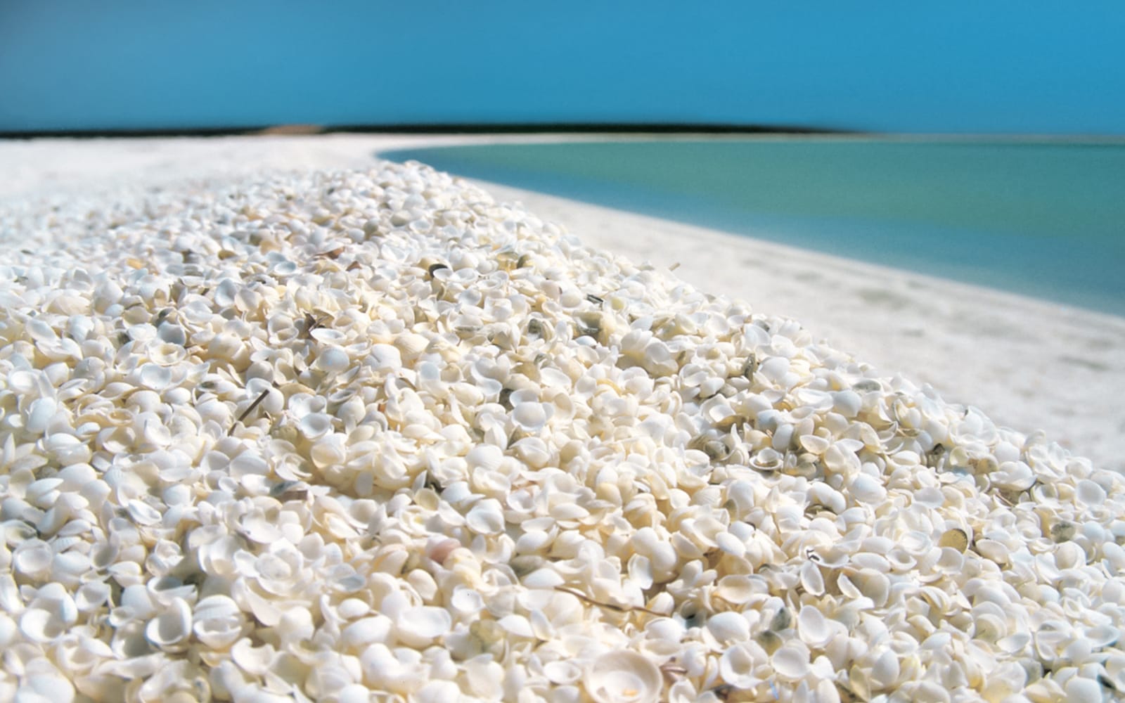 From Perth: Outback Coast 4-Day Guided Tour tickets in Perth - Highlights | TickYourList