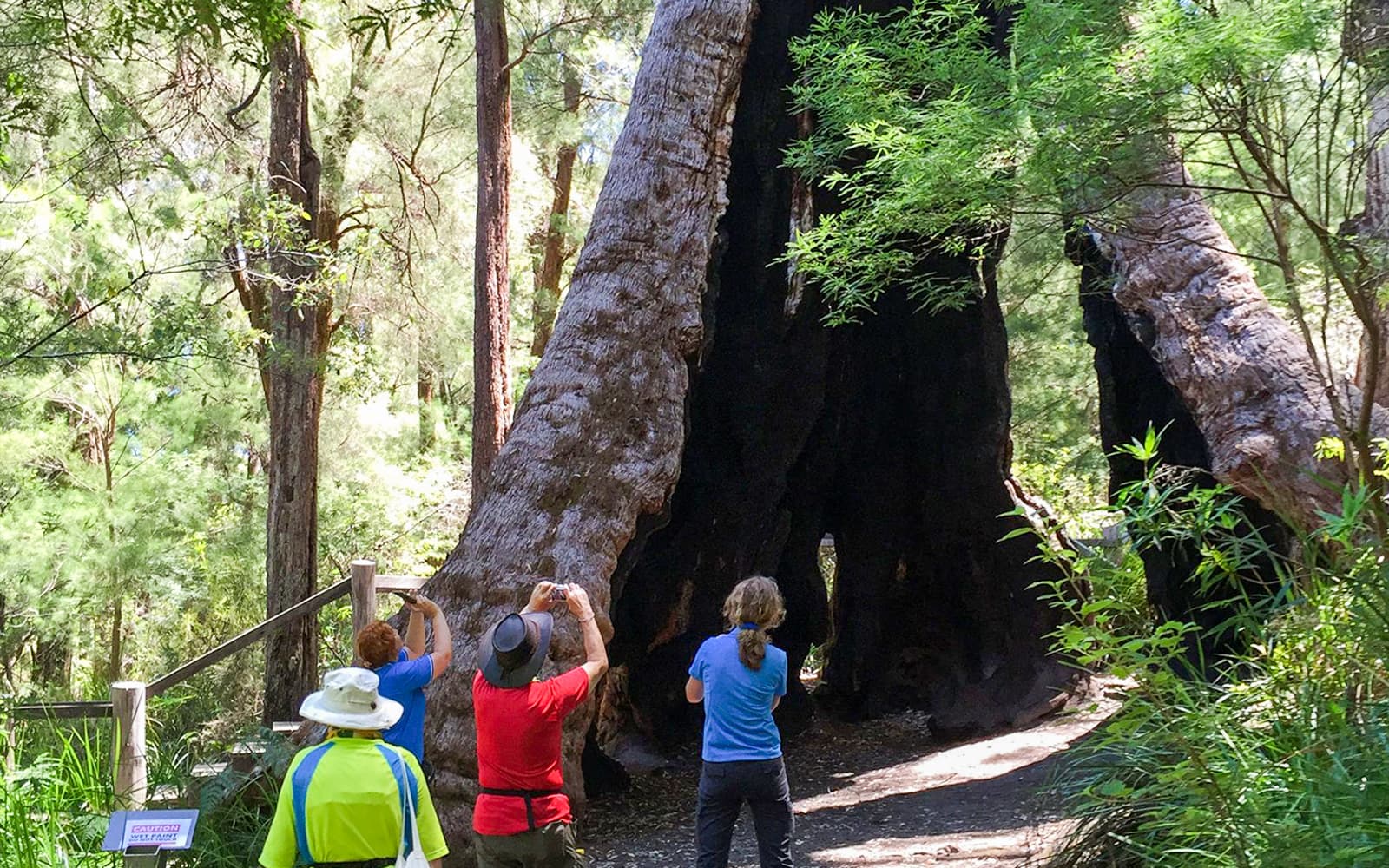 2-Night Guided Tour of South West of Australia with Transfers tickets in Perth - Attractions | TickYourList