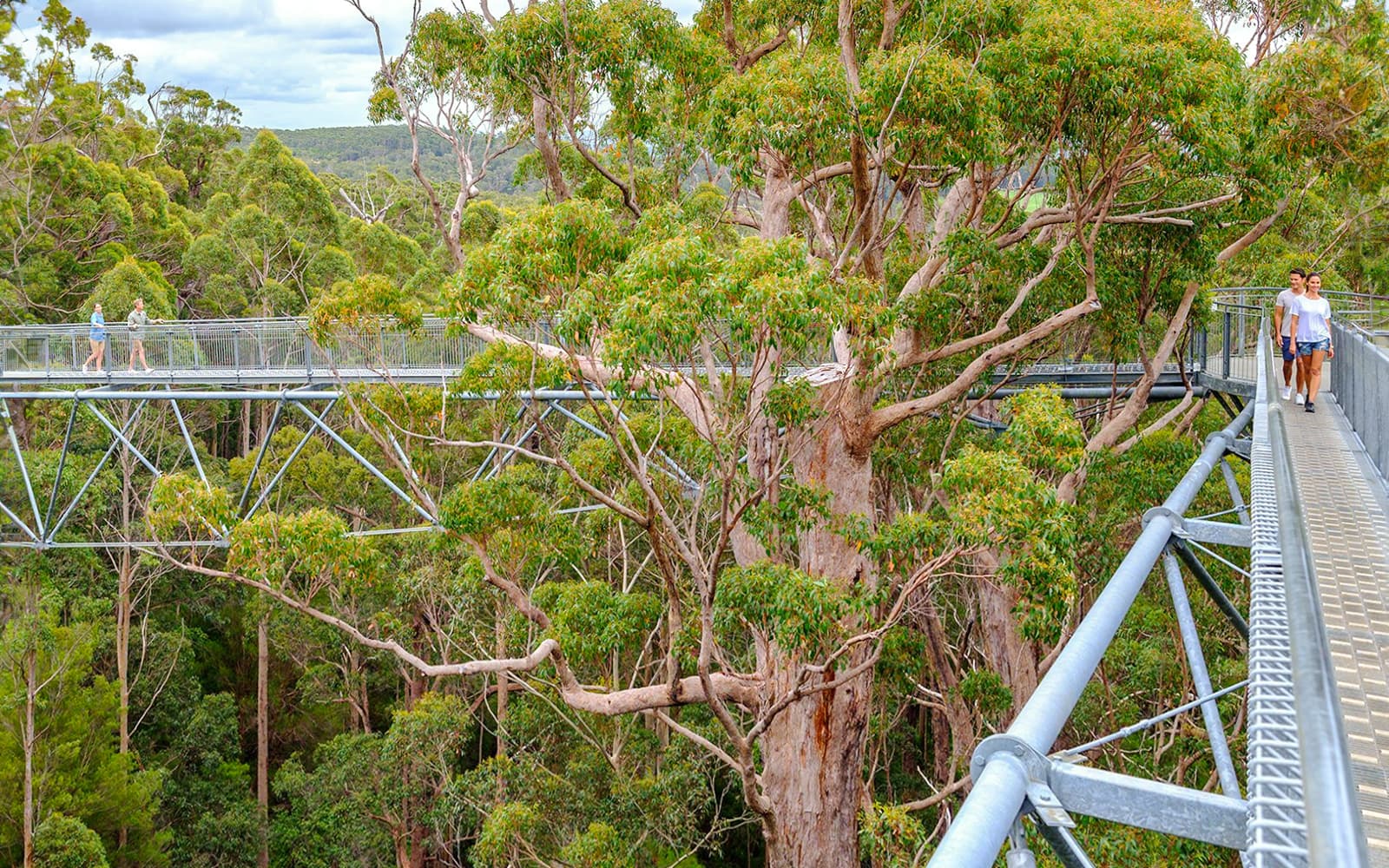 2-Night Guided Tour of South West of Australia with Transfers tickets in Perth - Activities | TickYourList