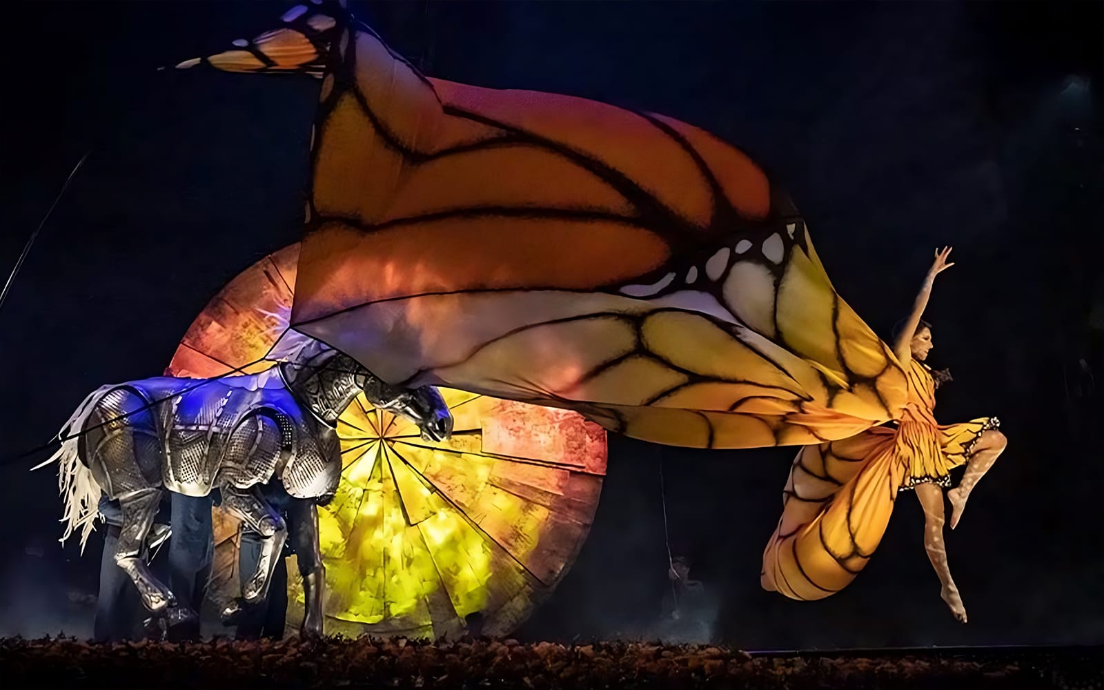 Cirque du Soleil: LUZIA Perth tickets in Perth - Highlights | TickYourList